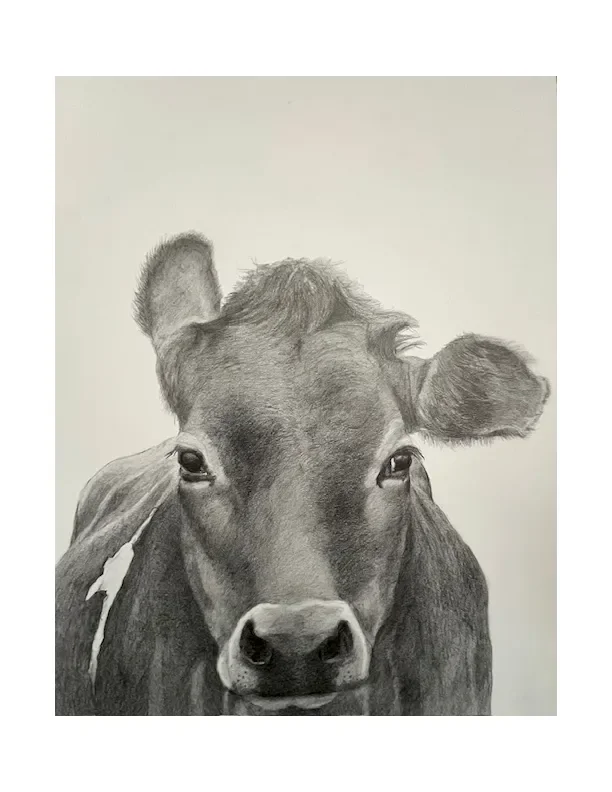 cow.webp
