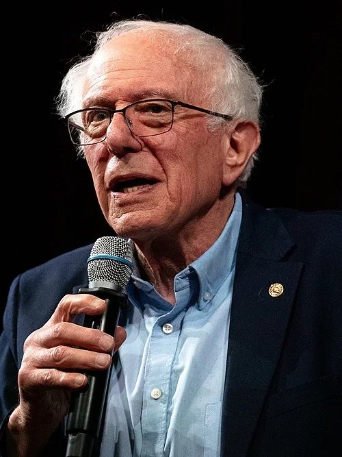 bernie.webp