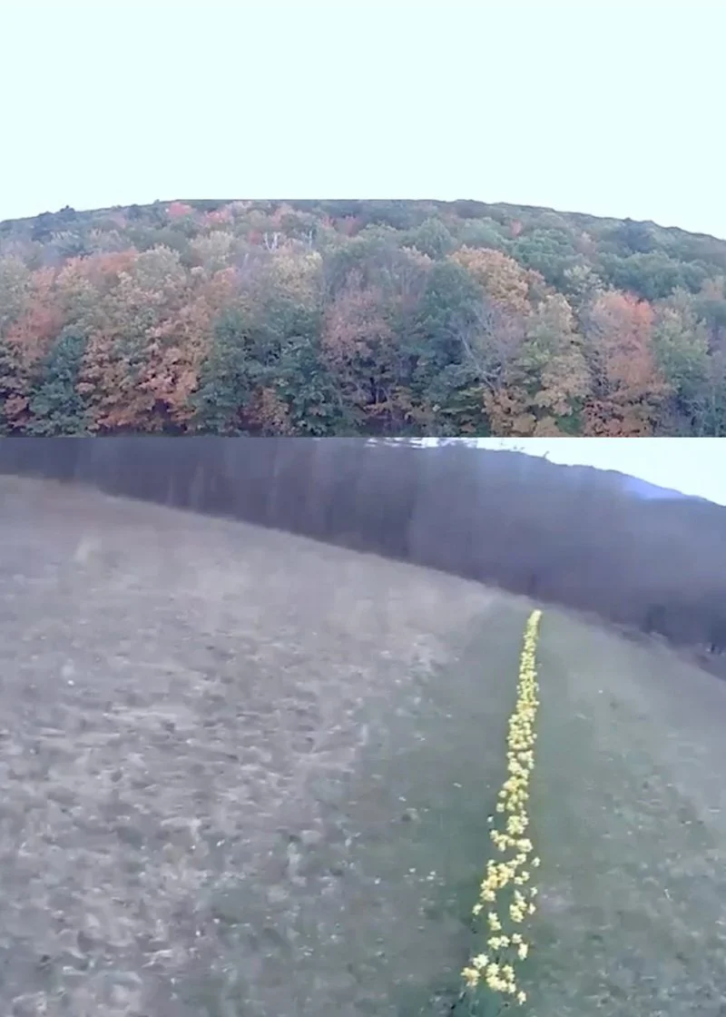 kantardzic-togivewhatisdue (1).jpg