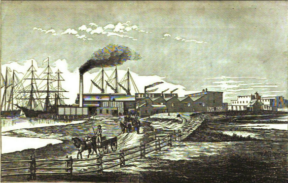 Pacific_Guano_Company_(Report,_1879) (1).png