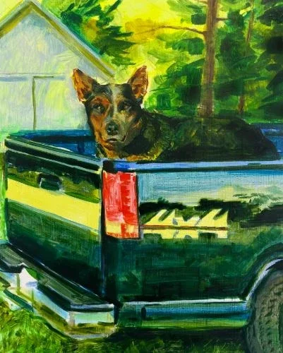 dogged.webp