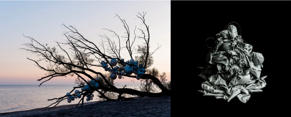 treed.png