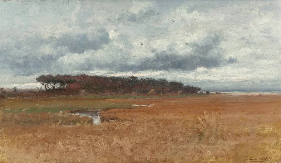 marshy.webp