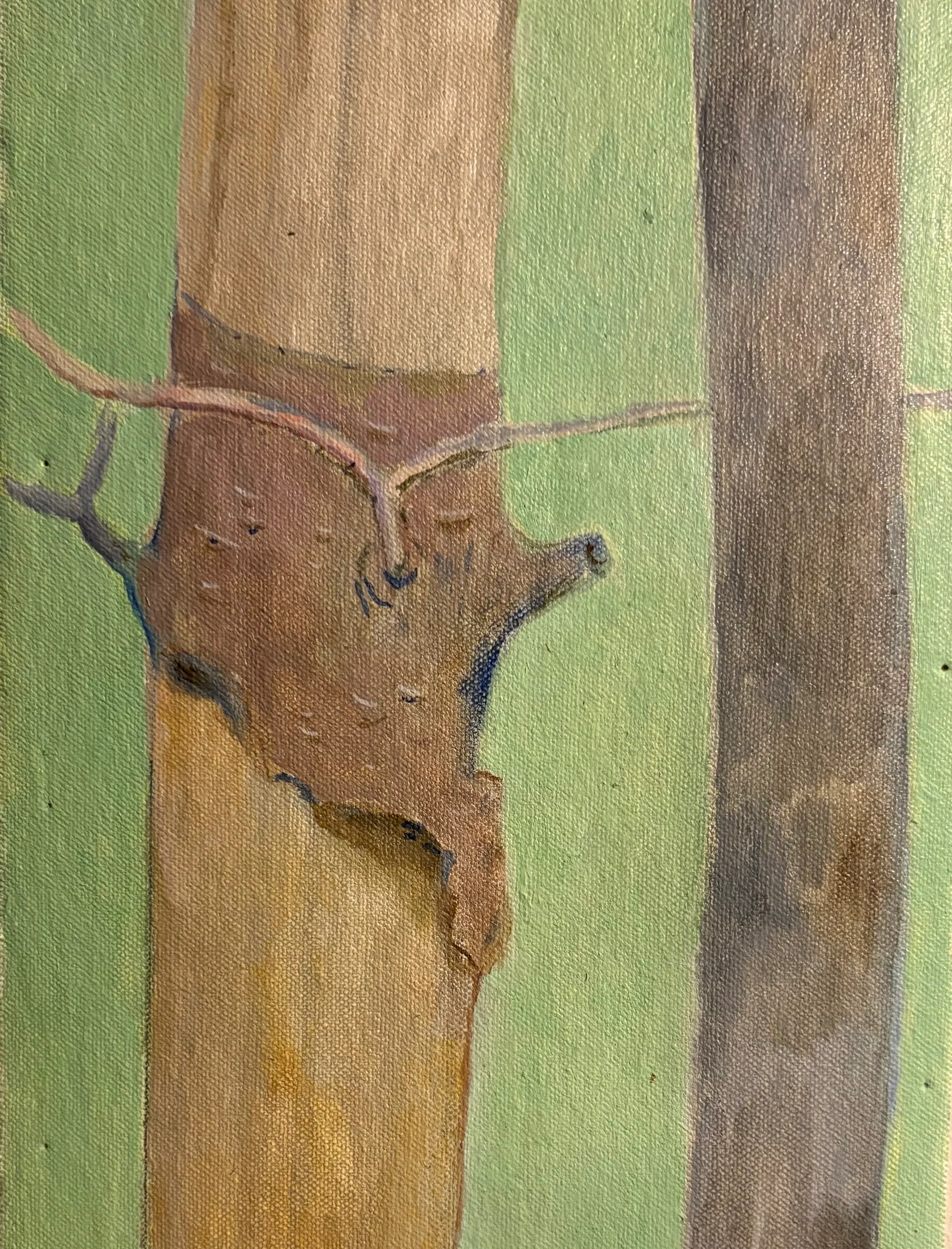 trees.webp