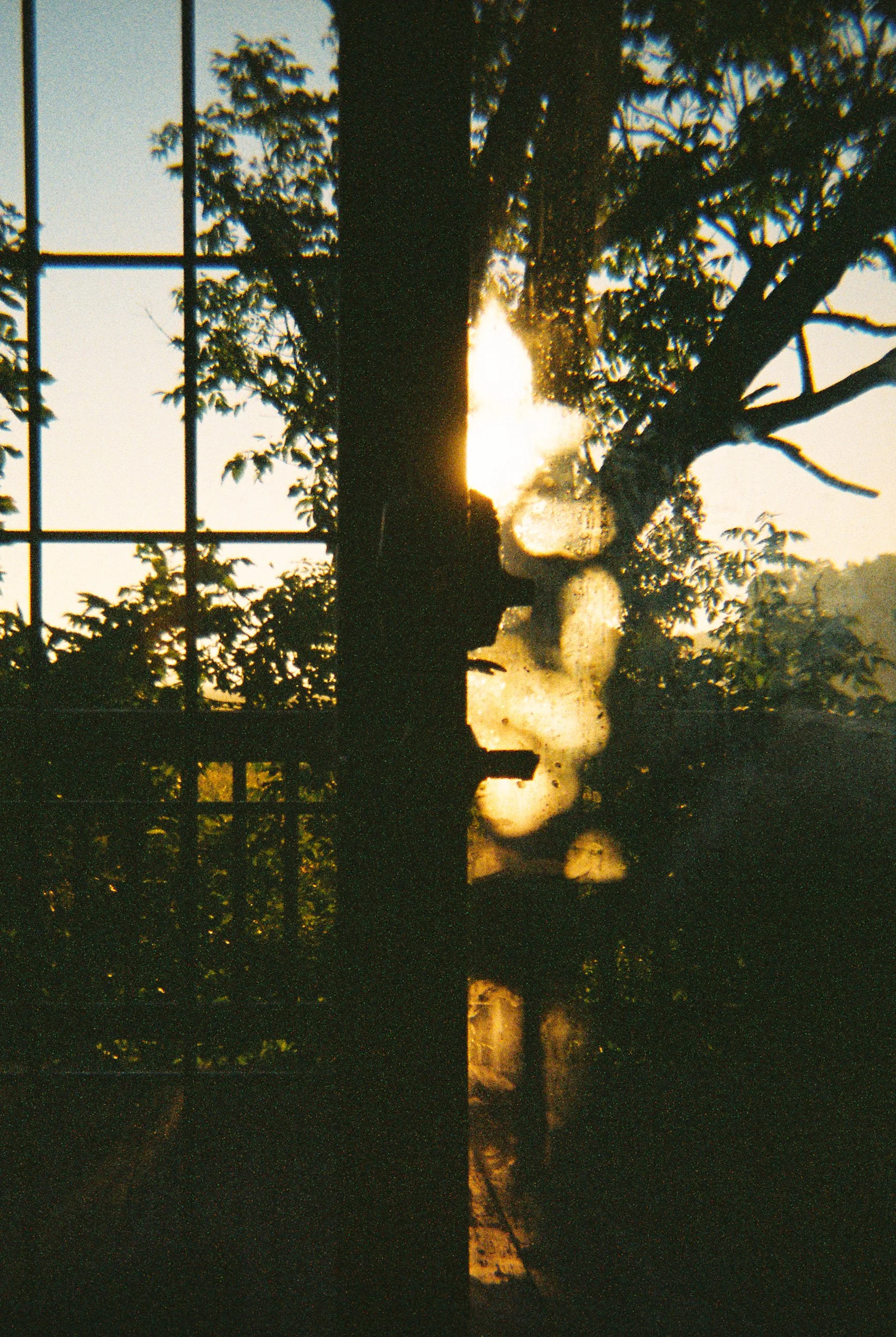 cropped-016.jpg