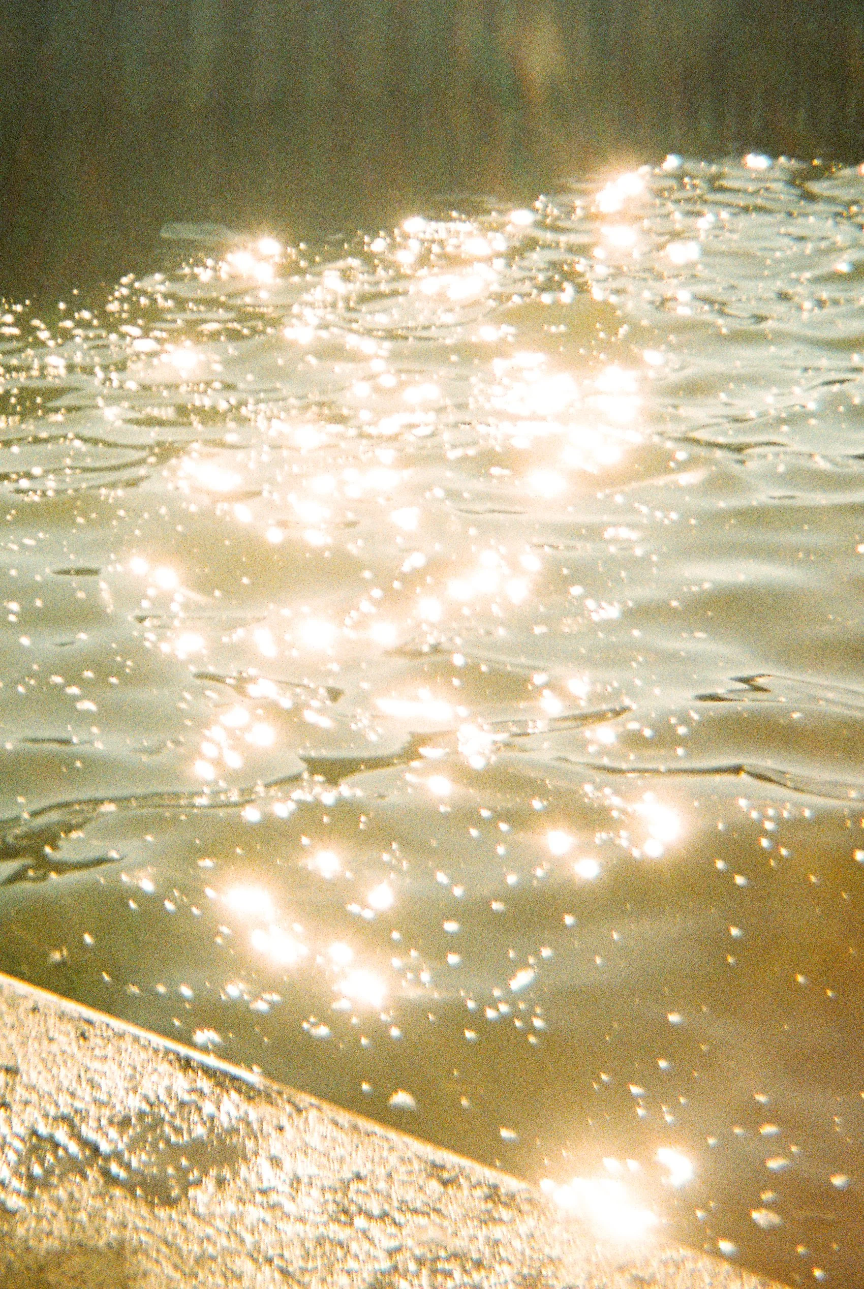 cropped-005.jpg
