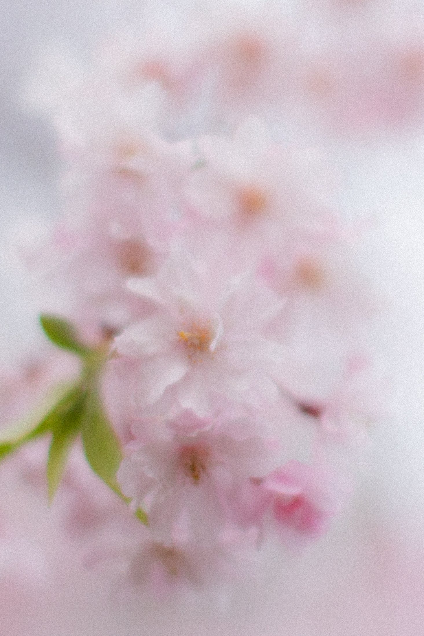 edit-0143-2.jpg