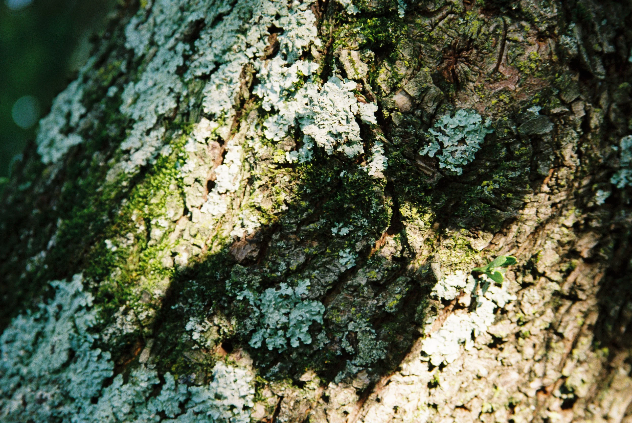 566621007909-R1-034.jpg