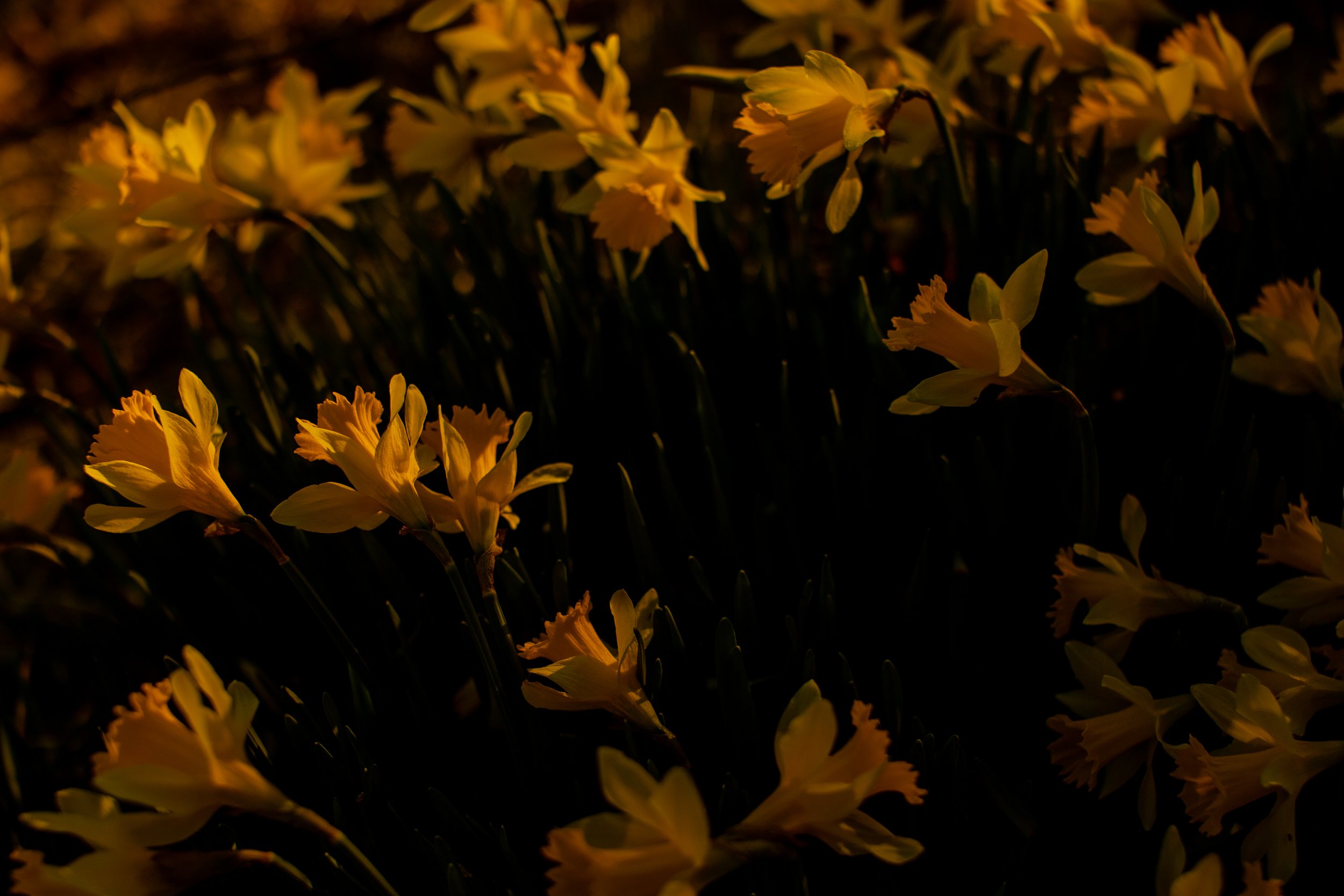 edit-6381.jpg