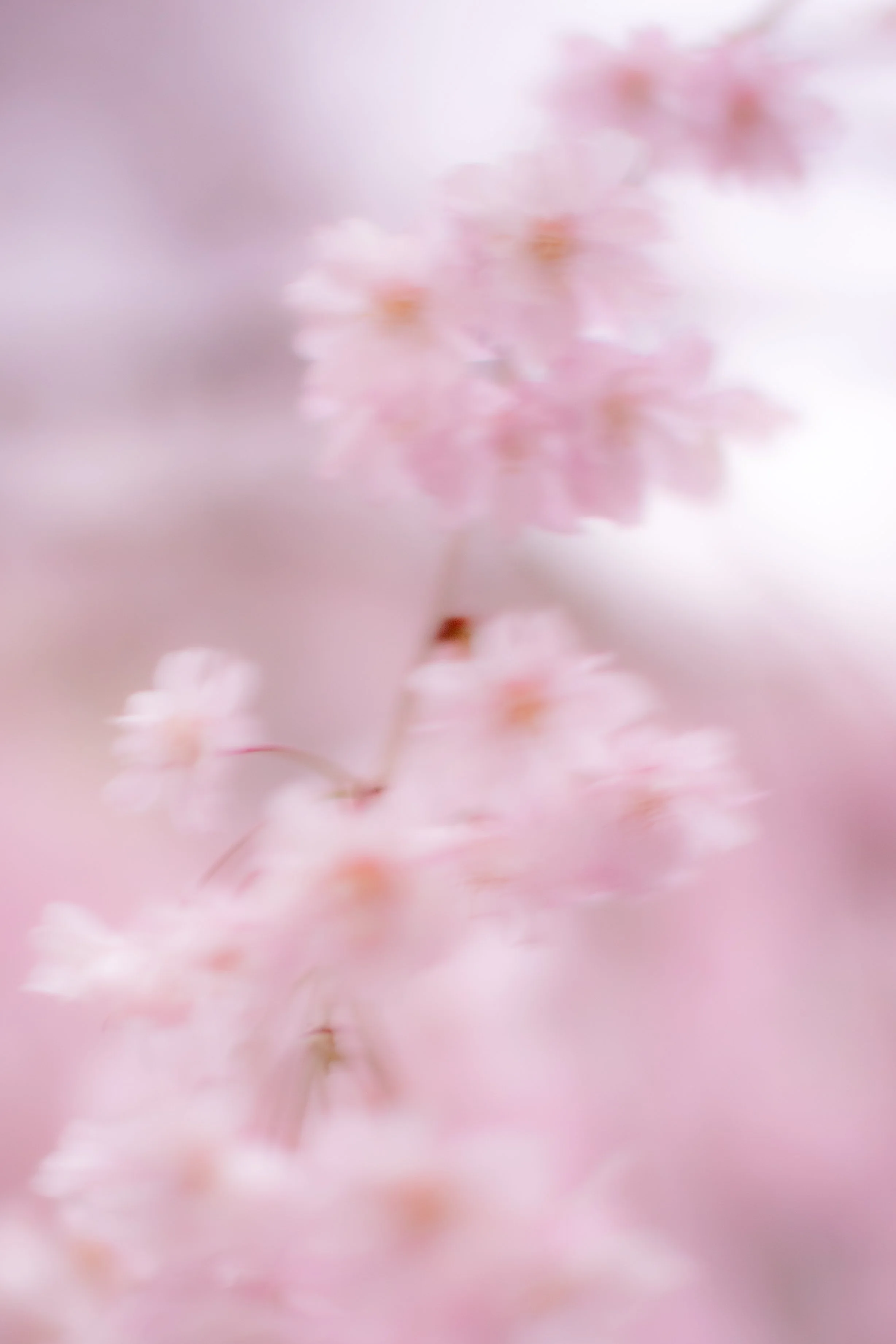 edit-0309.jpg