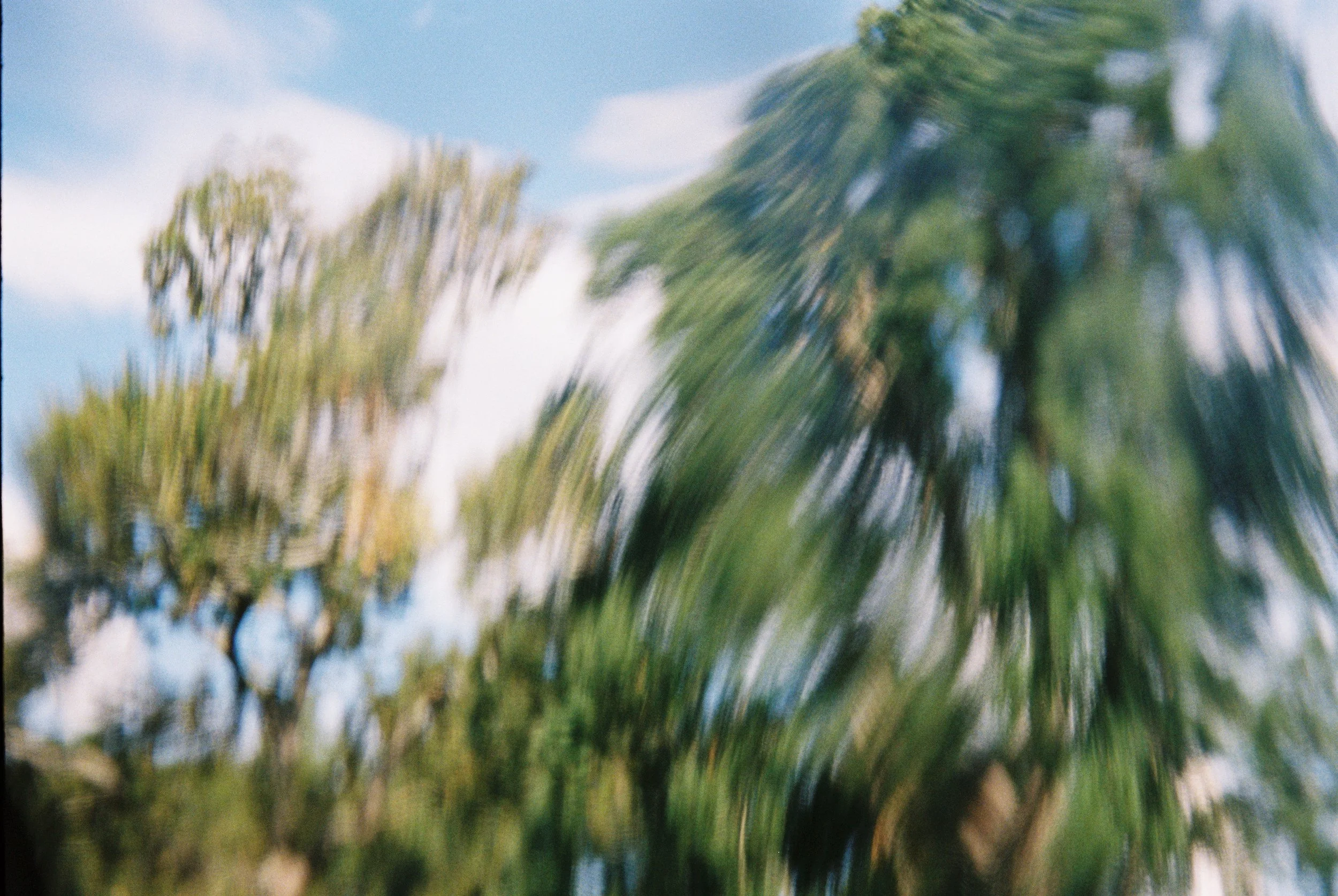 566621007909-R1-020.jpg