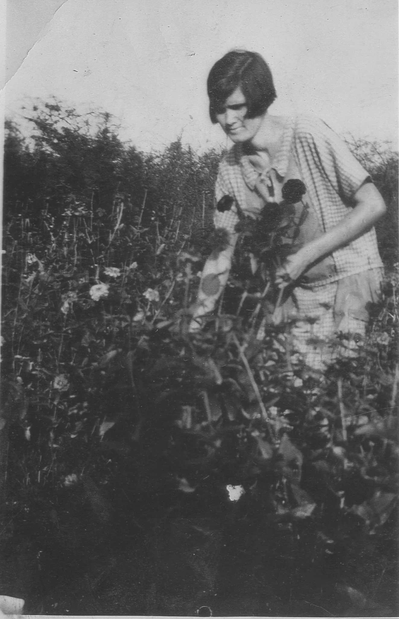My Grandmother - Grace