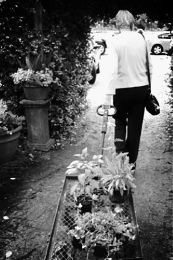 My Mother - Paula Grace