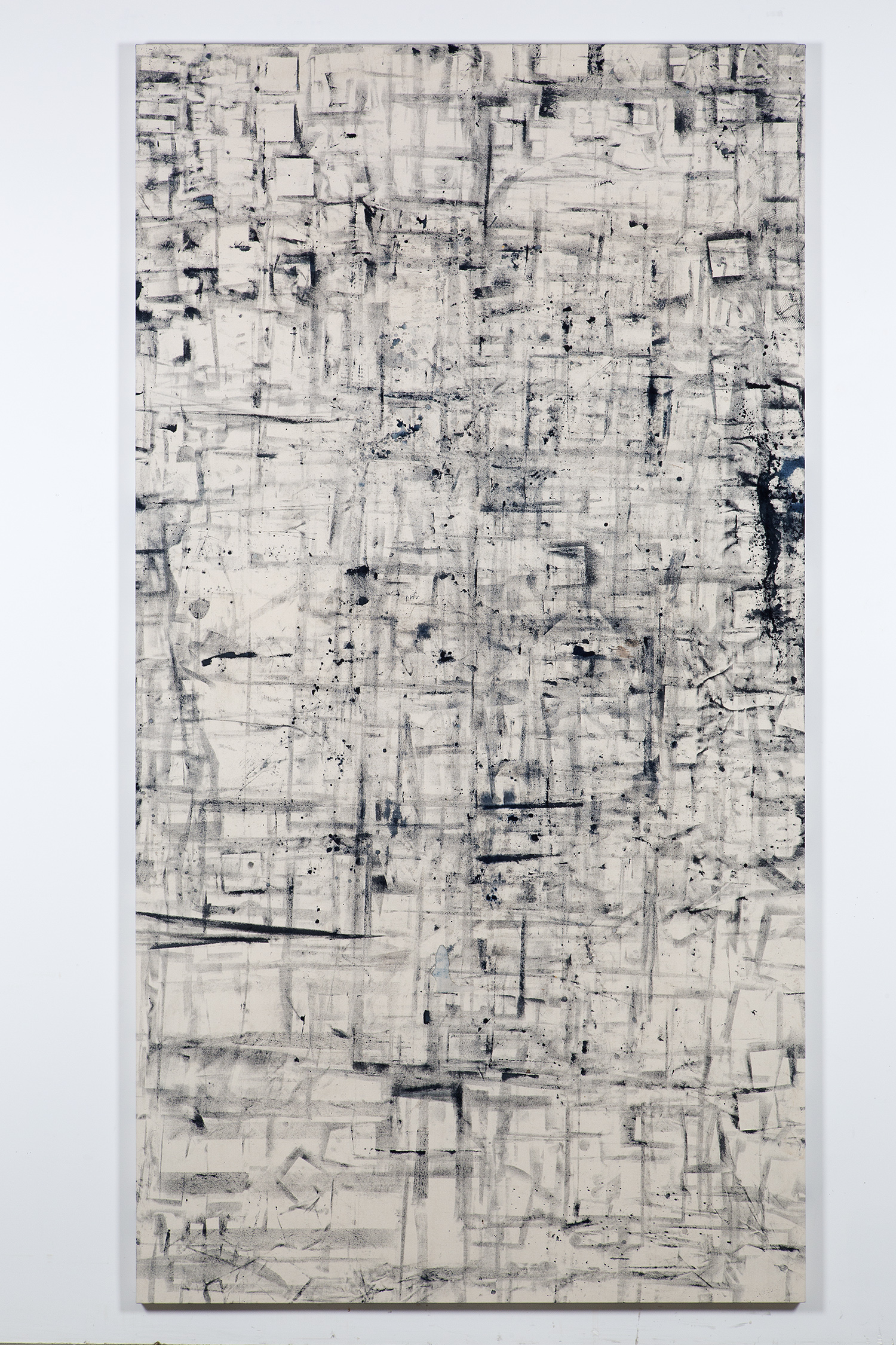   Marginalis (Los Angeles, California, October 21, 2013–January 31, 2014)    2014   Cyanotype chemistry on canvas  104 x 55 inches   Cyanotype Paintings, 2013–2015     