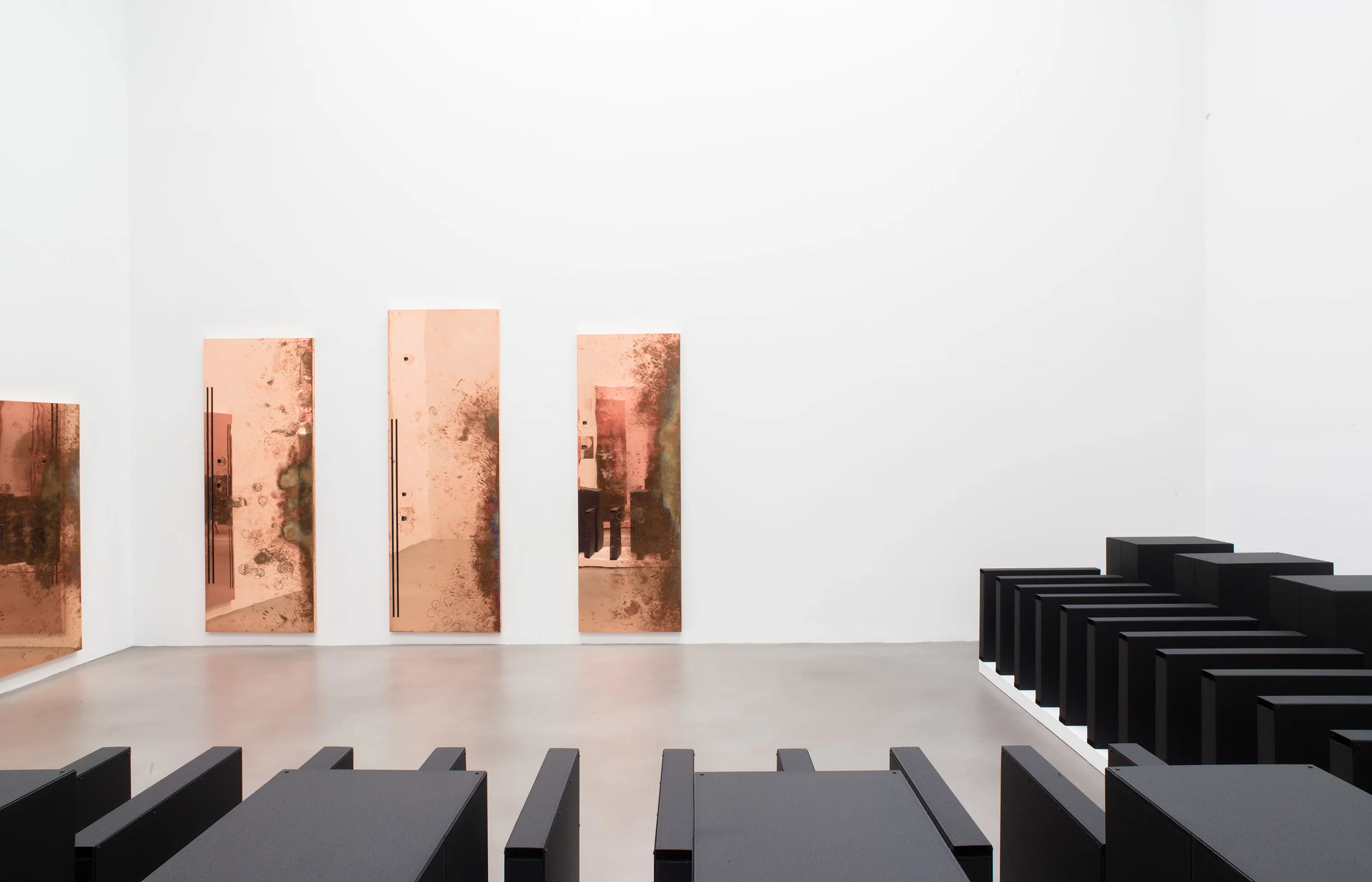 Performances Under Working Conditions Petzel New York New York 2014