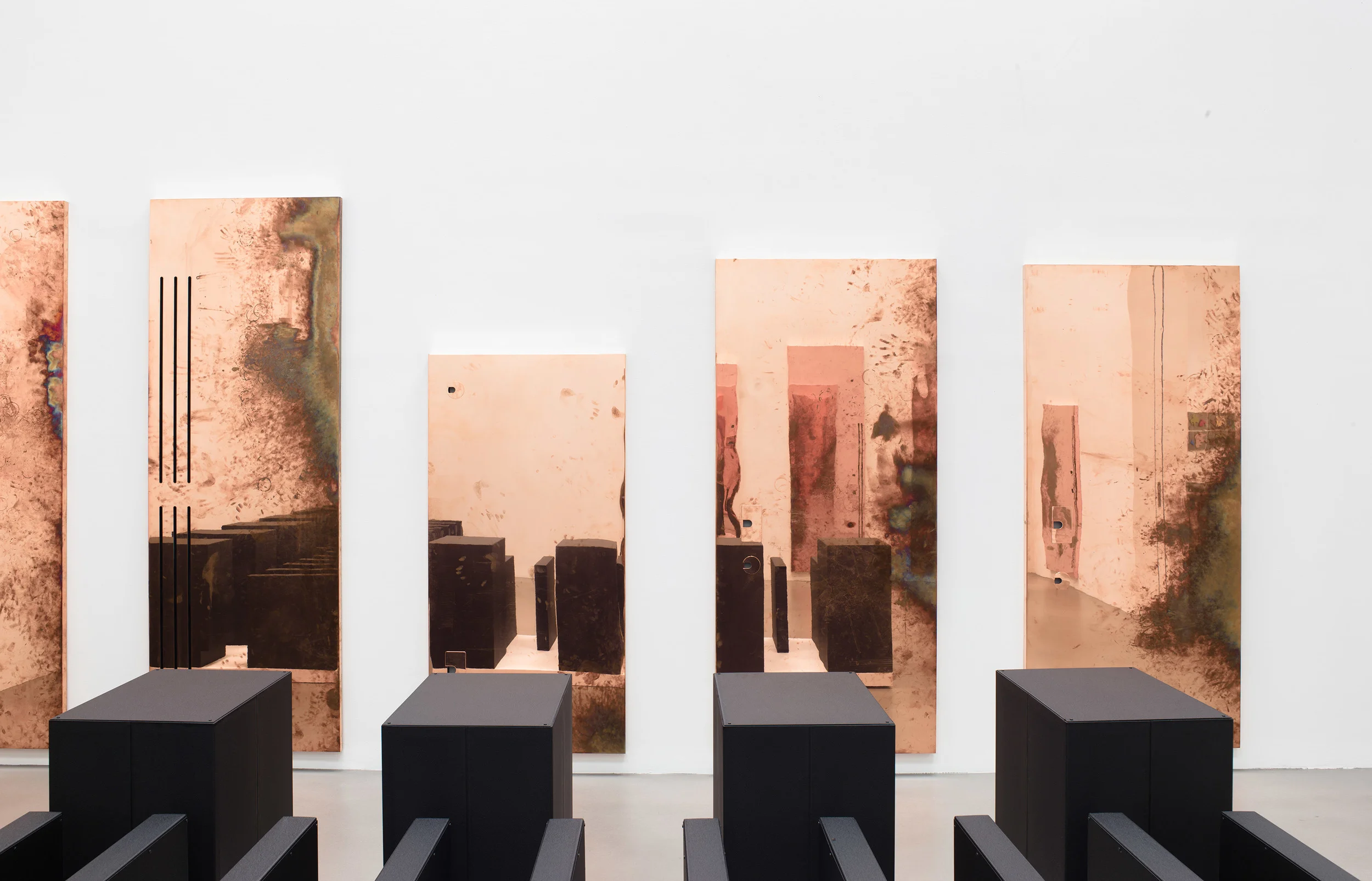 Performances Under Working Conditions Petzel New York New York 2014