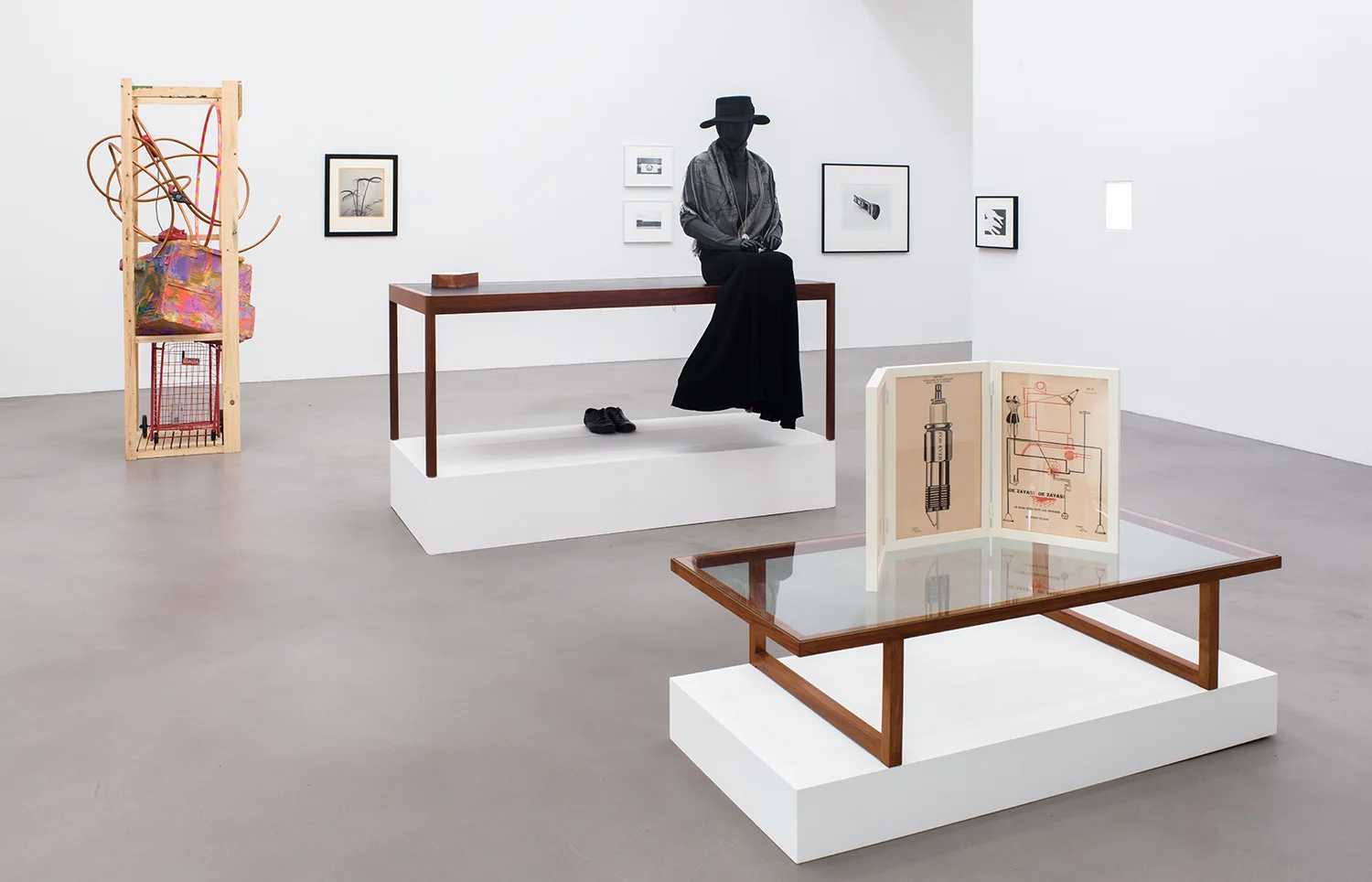 A Machinery for Living , Petzel, New York, NY, 2014. Rachel Harrison, Dr. Dain L. Tasker, Lewis Baltz, BassamFellows, Claire Fontaine, Romain Kremer, Atelier EB, Christopher Williams, James Welling, Jay DeFeo, Joaquim Tenreiro, and Francis Picabia