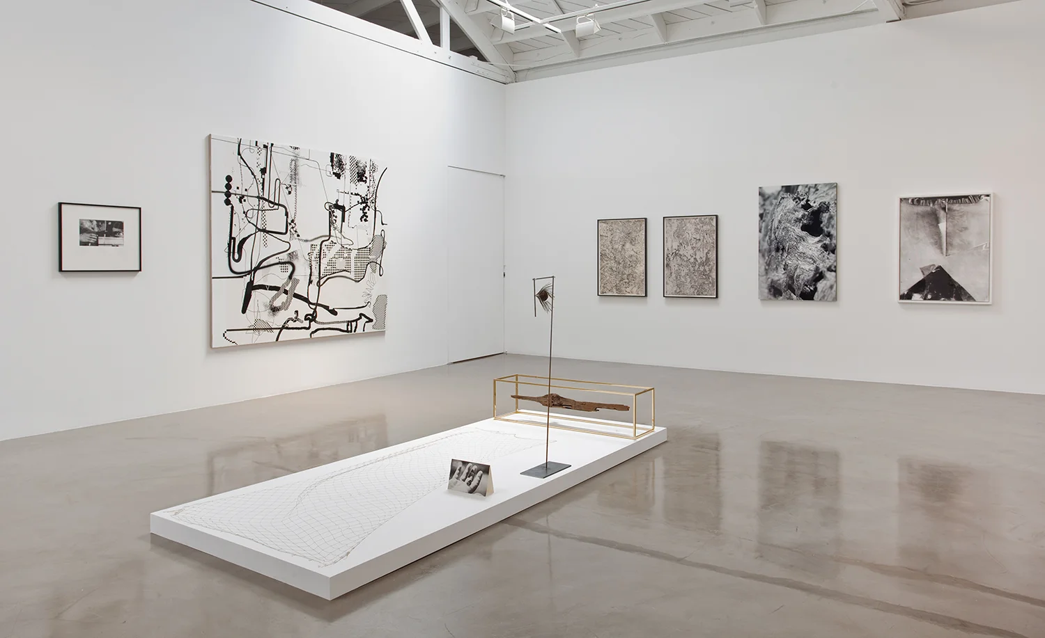 Picture Industry (Goodbye to All That) , Regen Projects, Los Angeles, CA, 2010. Thomas Barrow, Albert Oehlen, Carol Bove, Erlea Maneros Zabala, Josephine Pryde, and Eileen Quinlan
