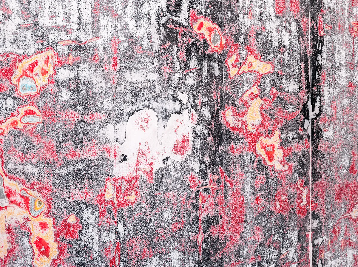 Detail of Mural (Bass Museum of Art, Miami, Florida: 2001–2012) 2012 Sanded wall Dimensions variable