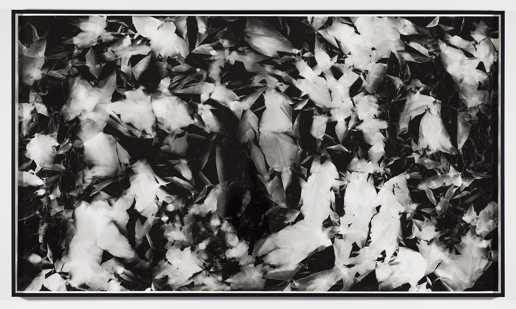   Picture Made by My Hand with the Assistance of Light    2011   Black and white fiber based photographic paper  55 x 98 1/4 inches   Pictures Made by My Hand with the Assistance of Light, 2005–2014     