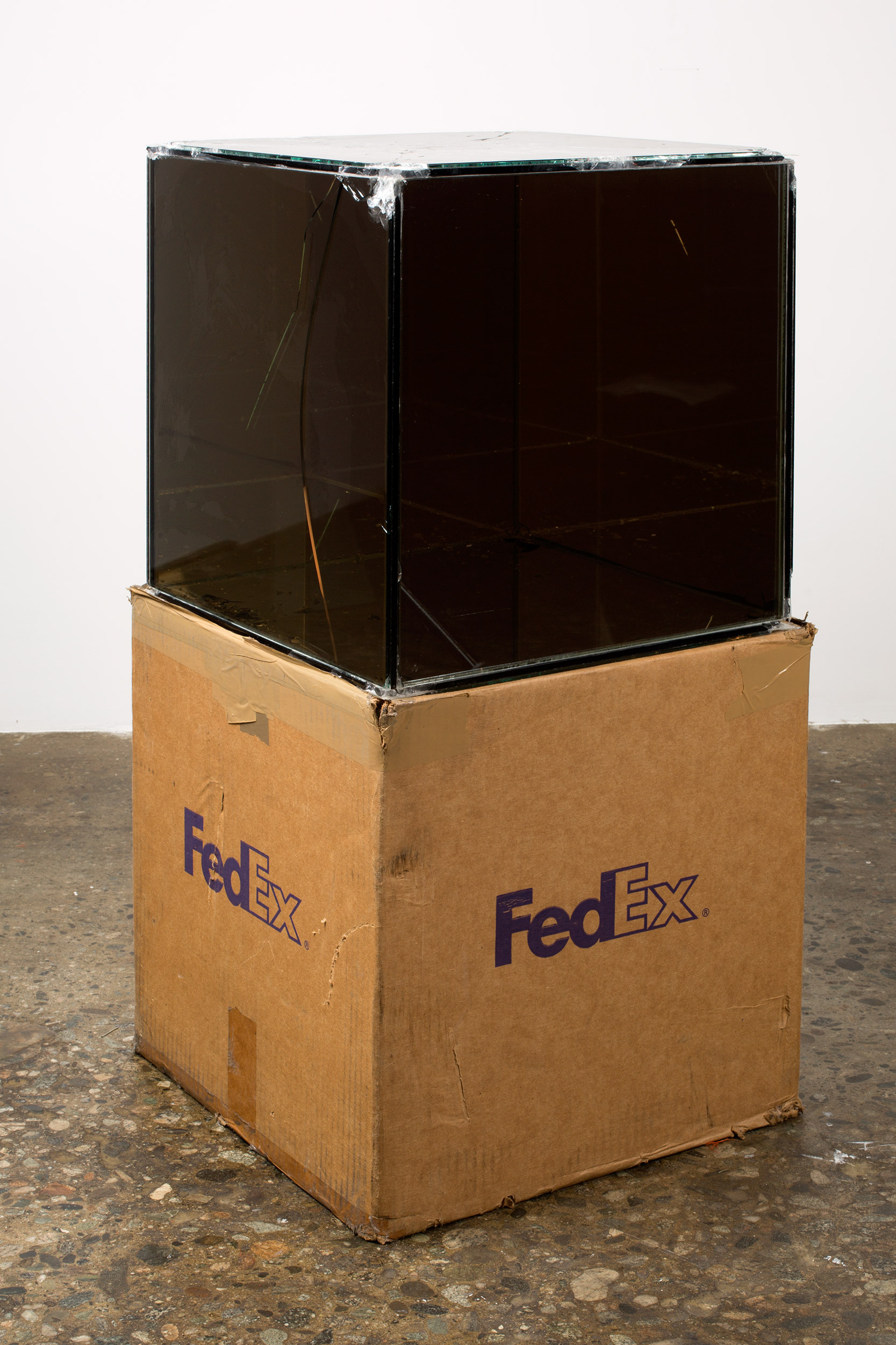   FedEx® Kraft Box  © 2005 FEDEX 330504 10/05 SSCC, Priority Overnight, Los Angeles–Miami trk#865344981303, October 29–30, 2008, Priority Overnight, Miami–Ann Arbor trk#861049125148, March 3–4, 2009, Standard Overnight, Ann Arbor–Los Angeles trk#8682