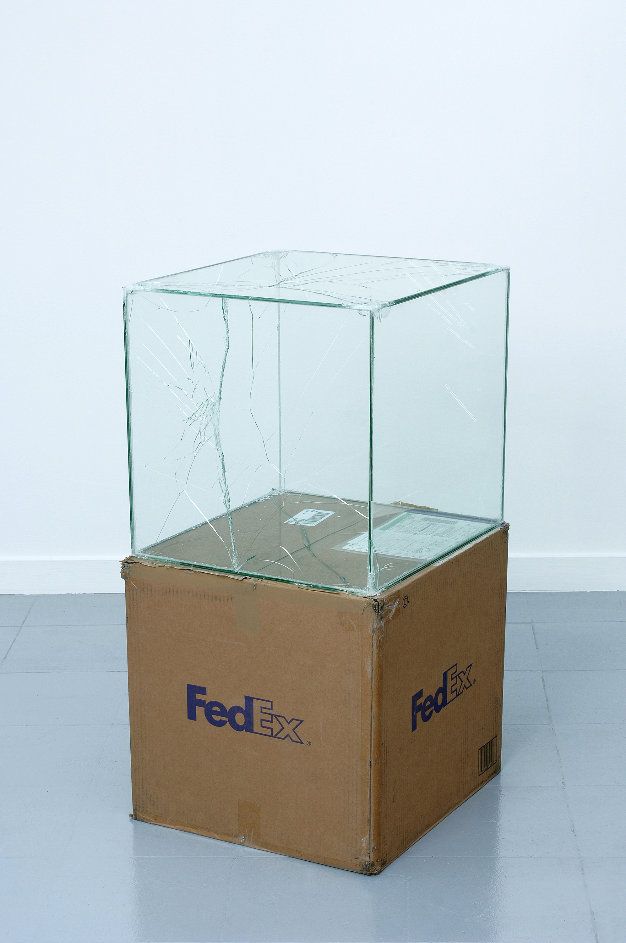   FedEx® Large Kraft Box  © 2005 FEDEX 330508 REV 10/05 SSCC, International Priority, Los Angeles–Brussels trk#865282057975, October 27–30, 2008, International Priority, Brussels–Los Angeles trk#866071746396, December 8–9, 2008, Standard Overnight, L