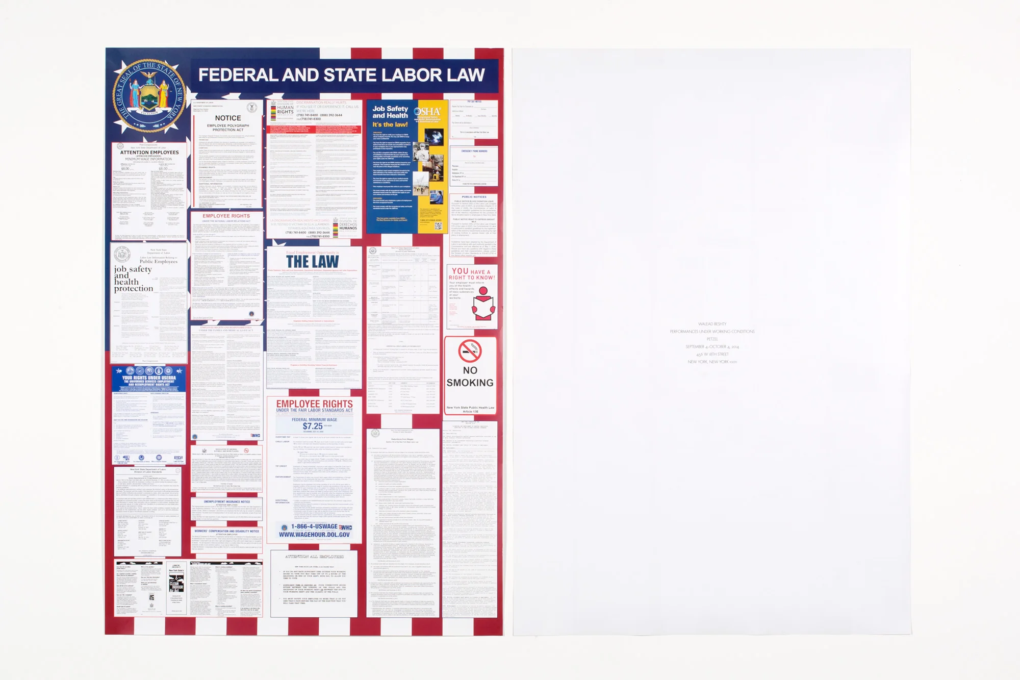Performances Under Working Conditions poster Petzel New York New York 2014