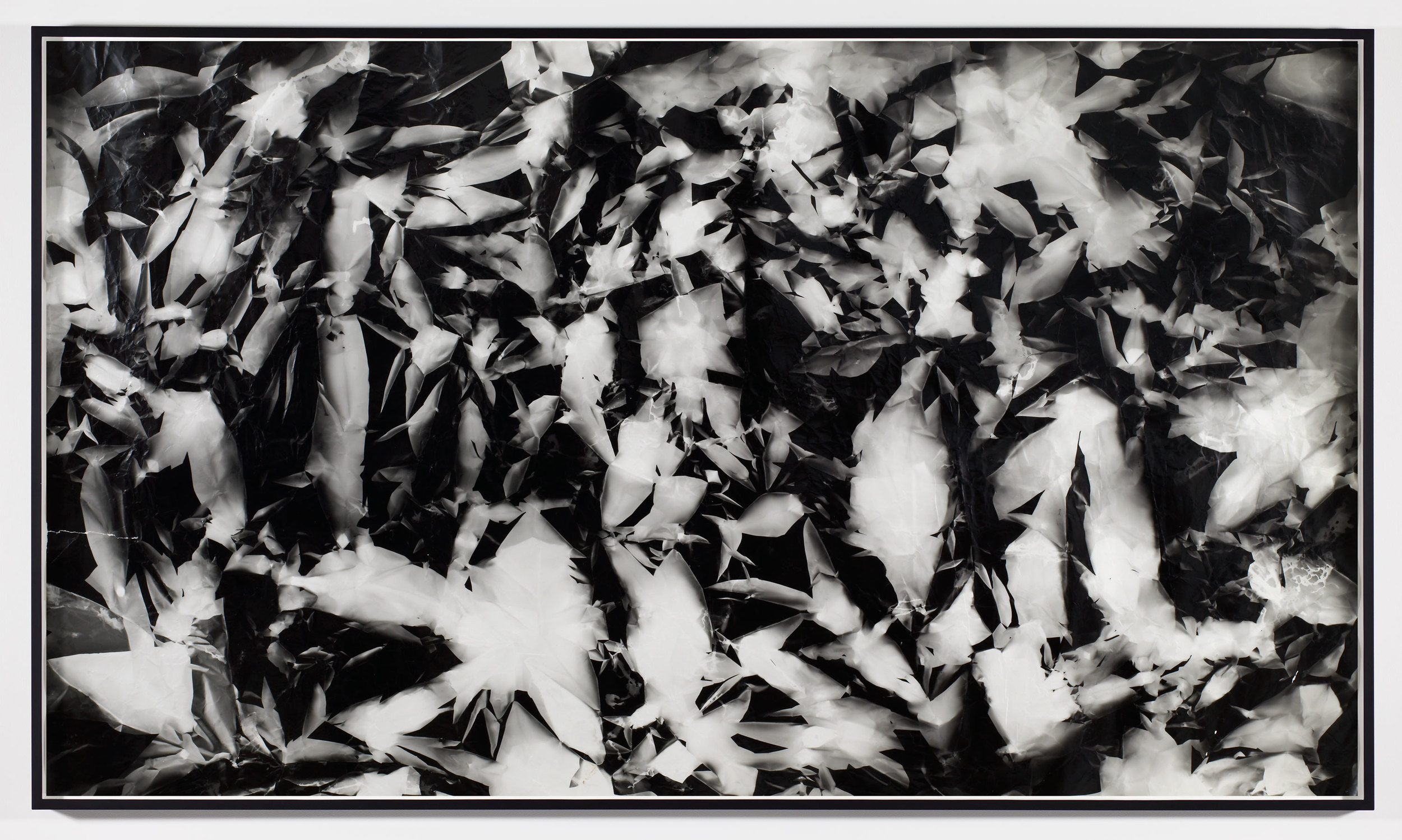   Picture Made by My Hand with the Assistance of Light    2011   Black and white fiber based photographic paper  55 inches    