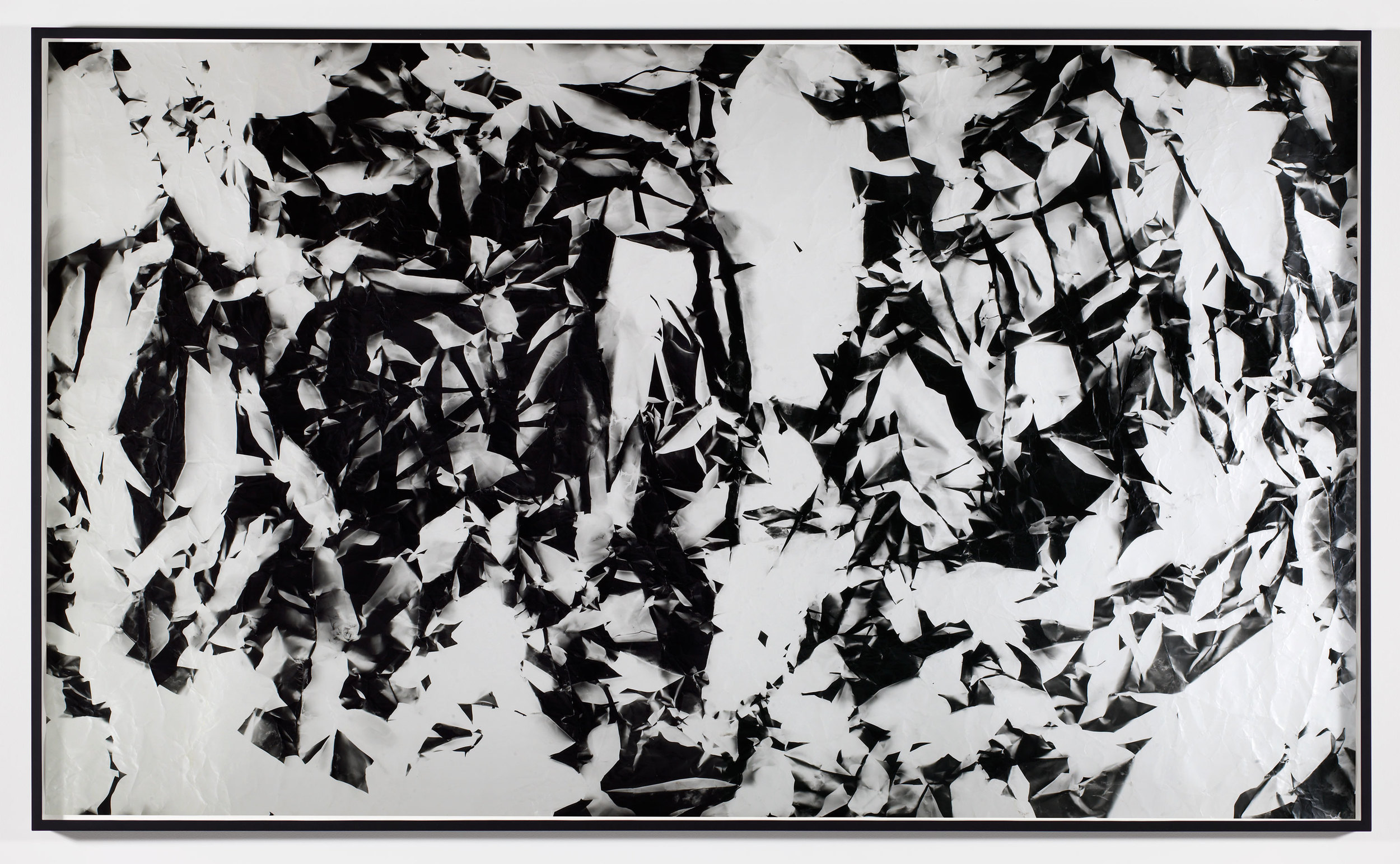   Picture Made by My Hand with the Assistance of Light    2011   Black and white fiber based photographic paper  55 inches   Pictures Made by My Hand with the Assistance of Light, 2005–2014     