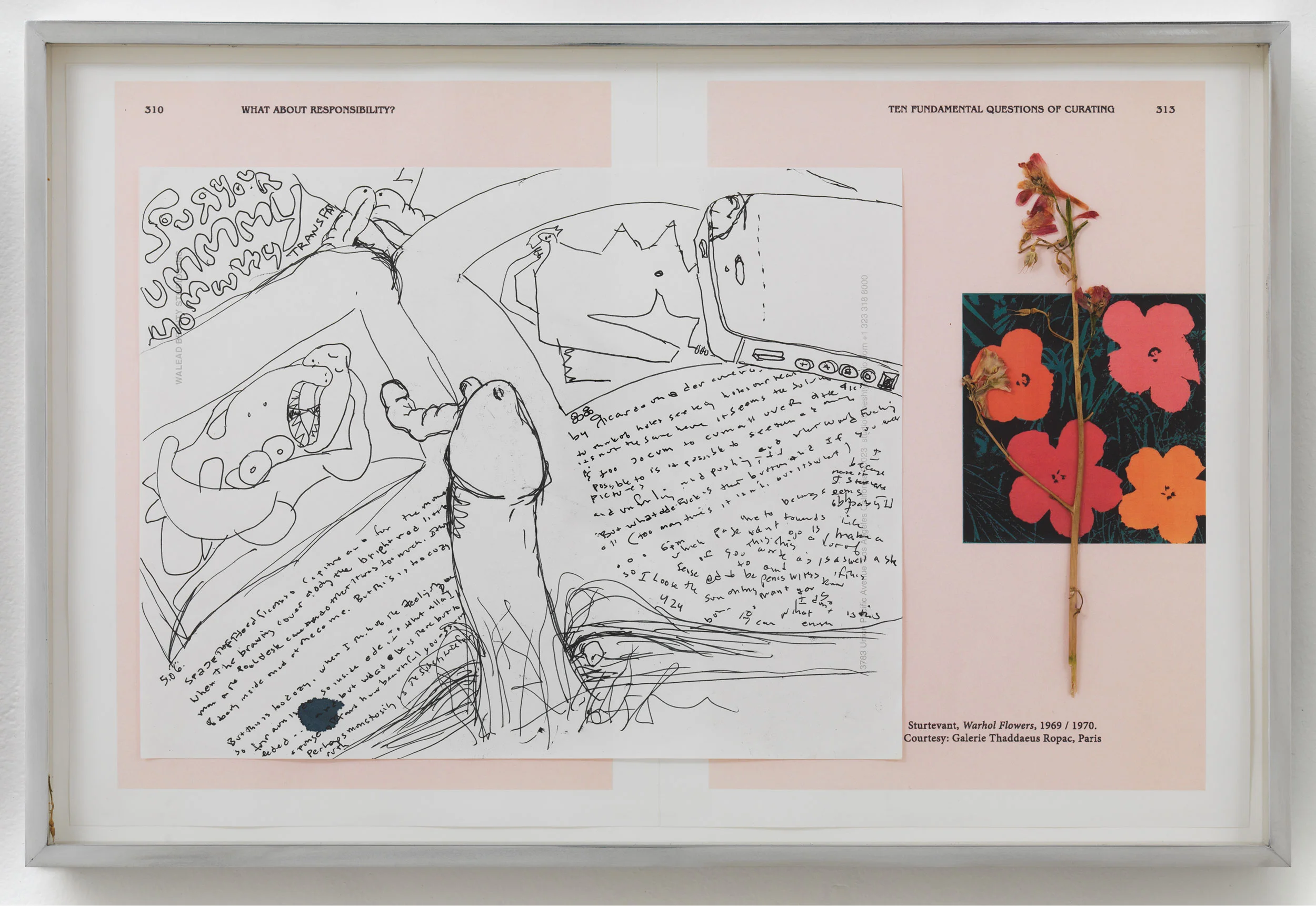 Picasso and Truth: From Cubism to Guernica III 2014 Ink on paper, dried flower, paper 13 7/8 x 18 inches Drawings, 2014–
