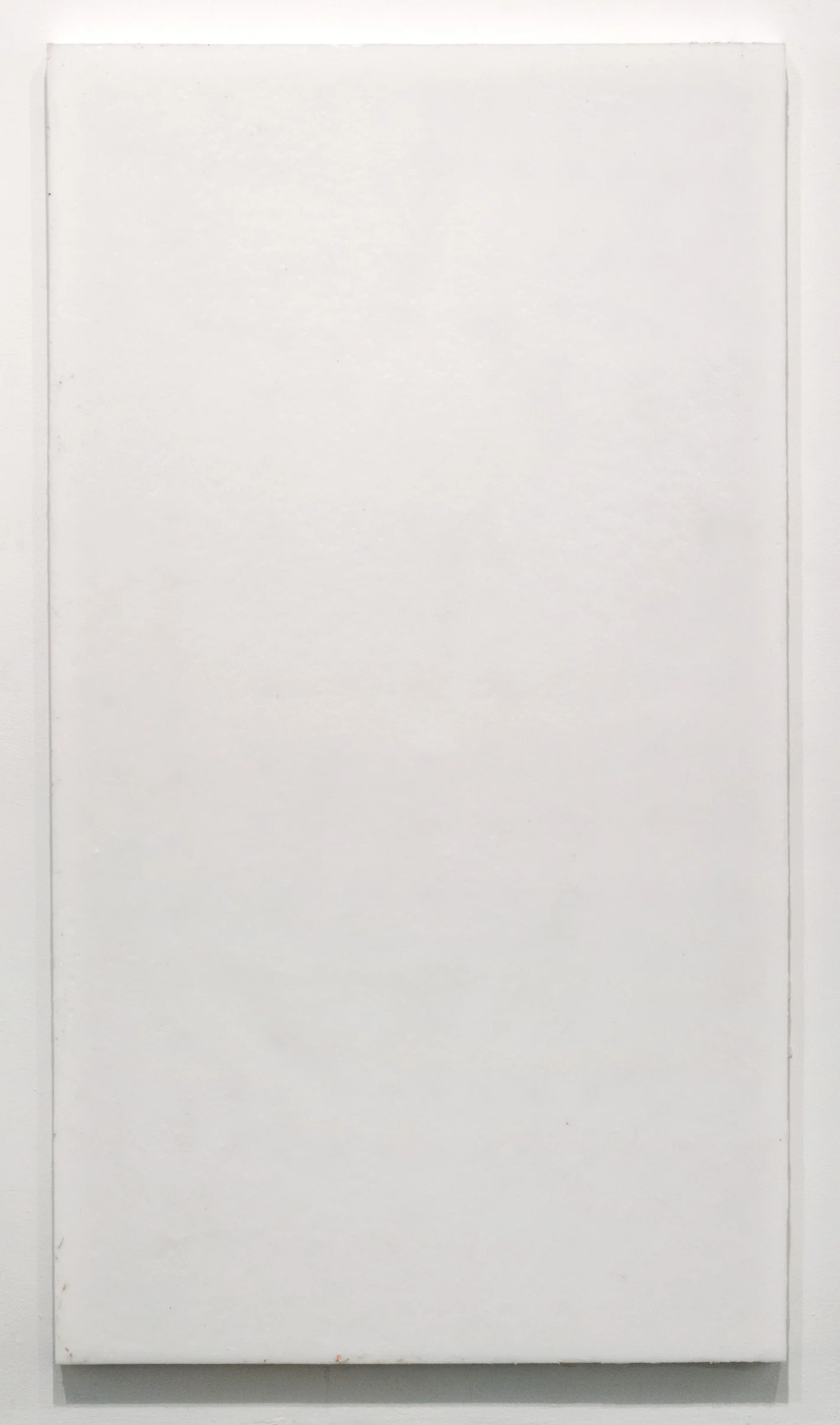 Soft Picture (Cast Exxon Slack Wax 75:493644; December 5, 2012–March 17, 2013, Miami Beach, Florida) 2012 Petroleum wax and wood strainer 90 x 50 inches The Endless Renaissance, 2012