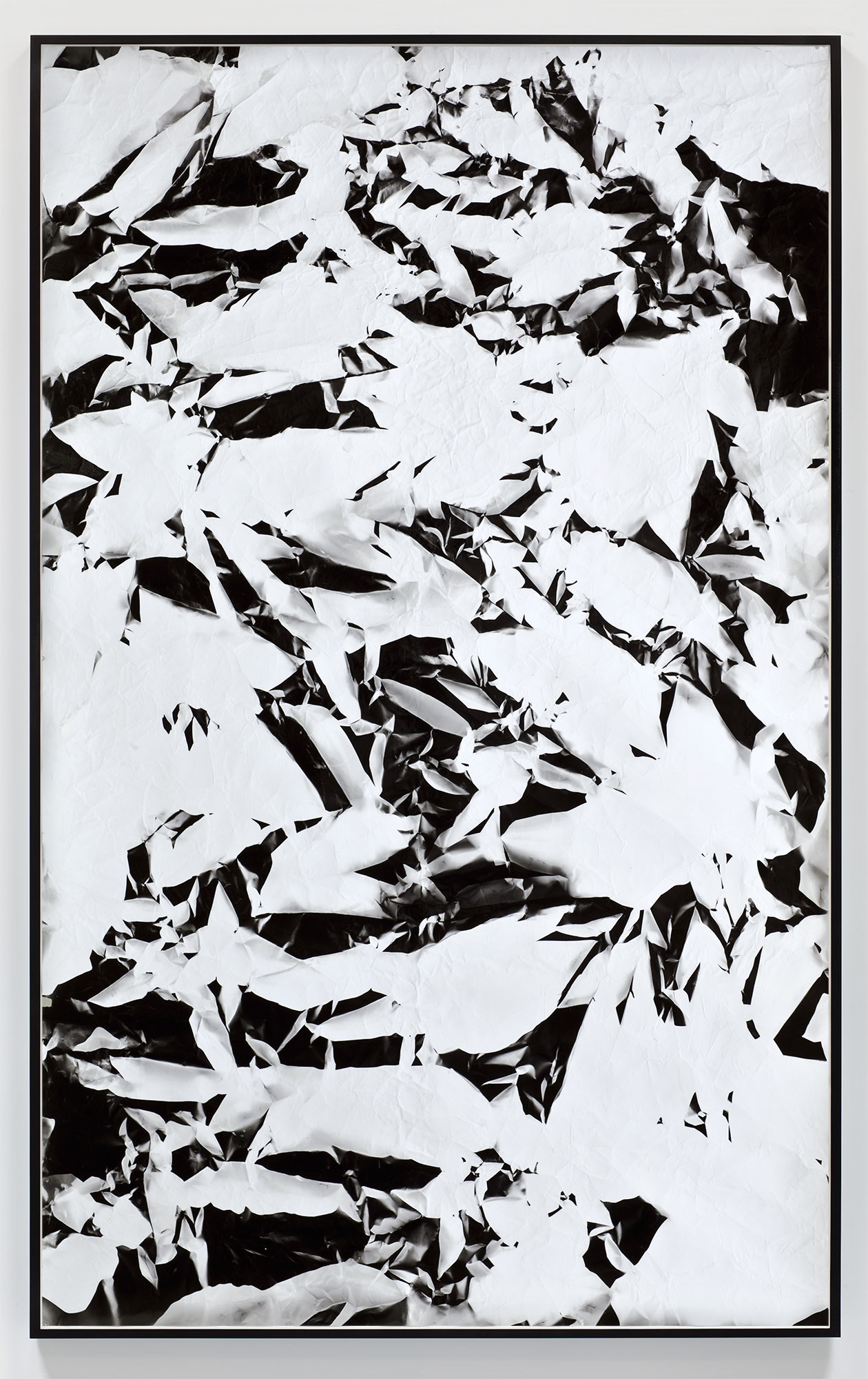   Picture Made by My Hand with the Assistance of Light   2011  Black and white fiber based photographic paper  89 x 55 inches    
