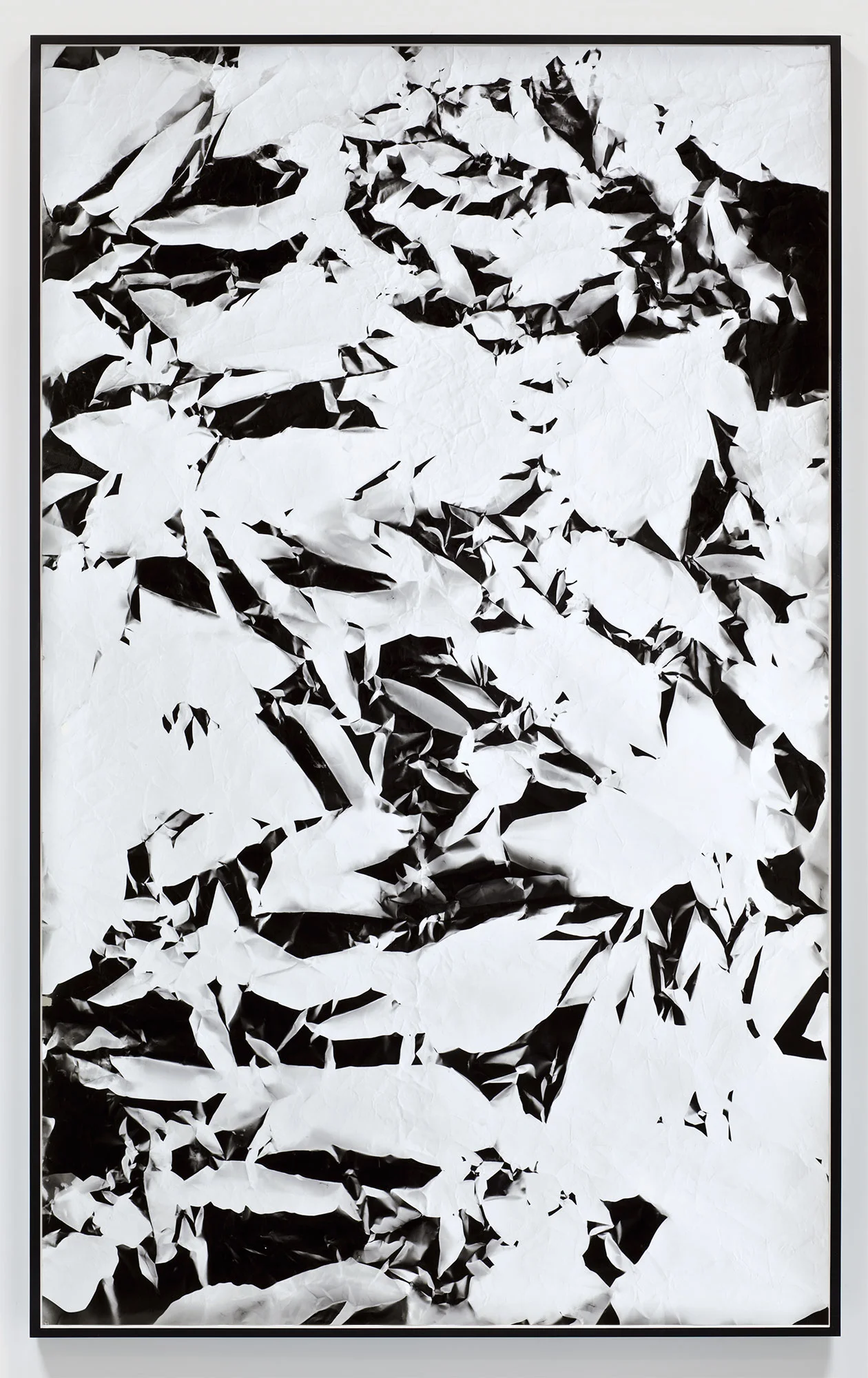 Picture Made by My Hand with the Assistance of Light 2011 Black and white fiber based photographic paper 89 x 55 inches