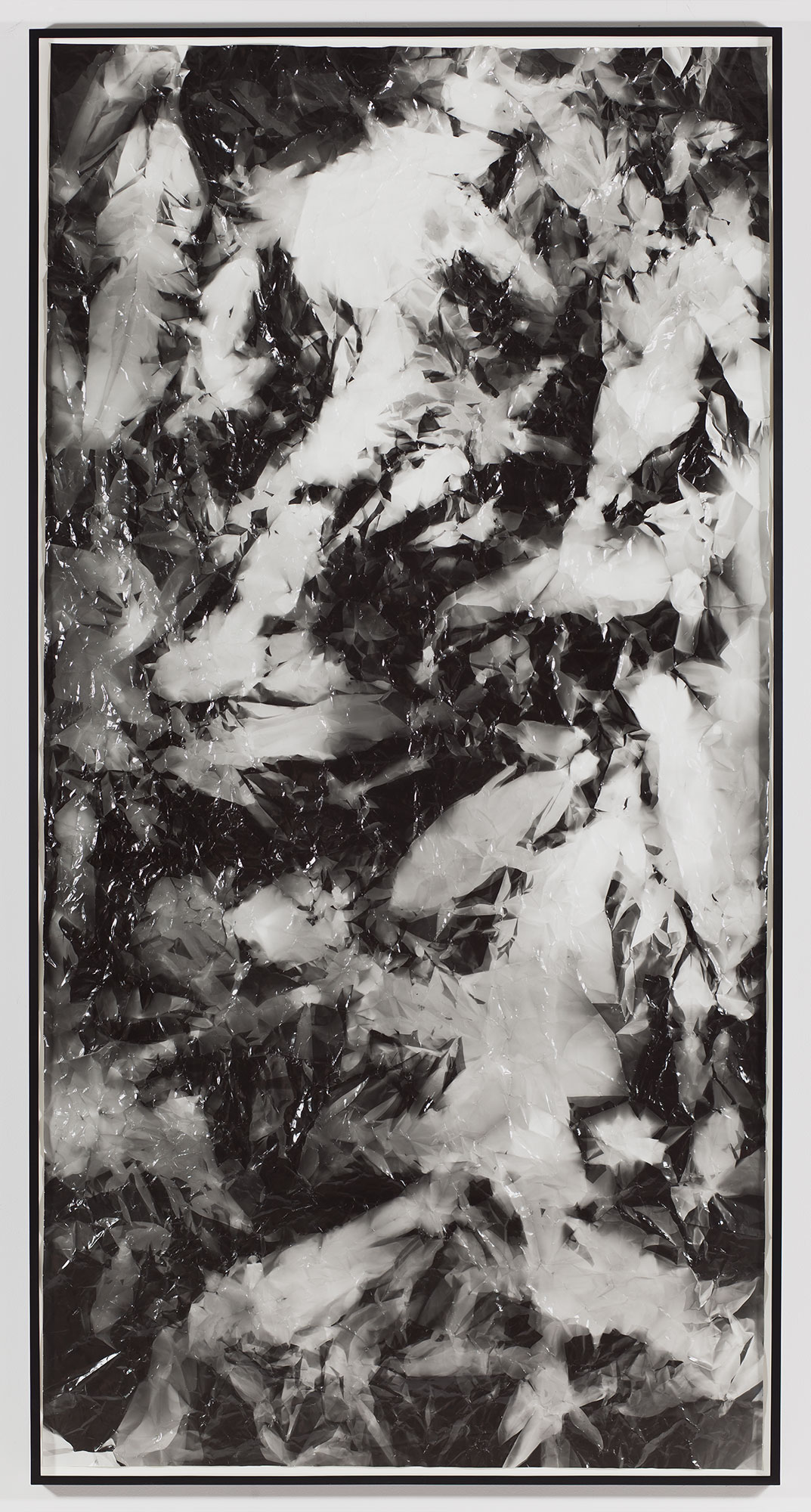   Picture Made by My Hand with the Assistance of Light    2011   Black and white fiber based photographic paper  111 x 55 inches    