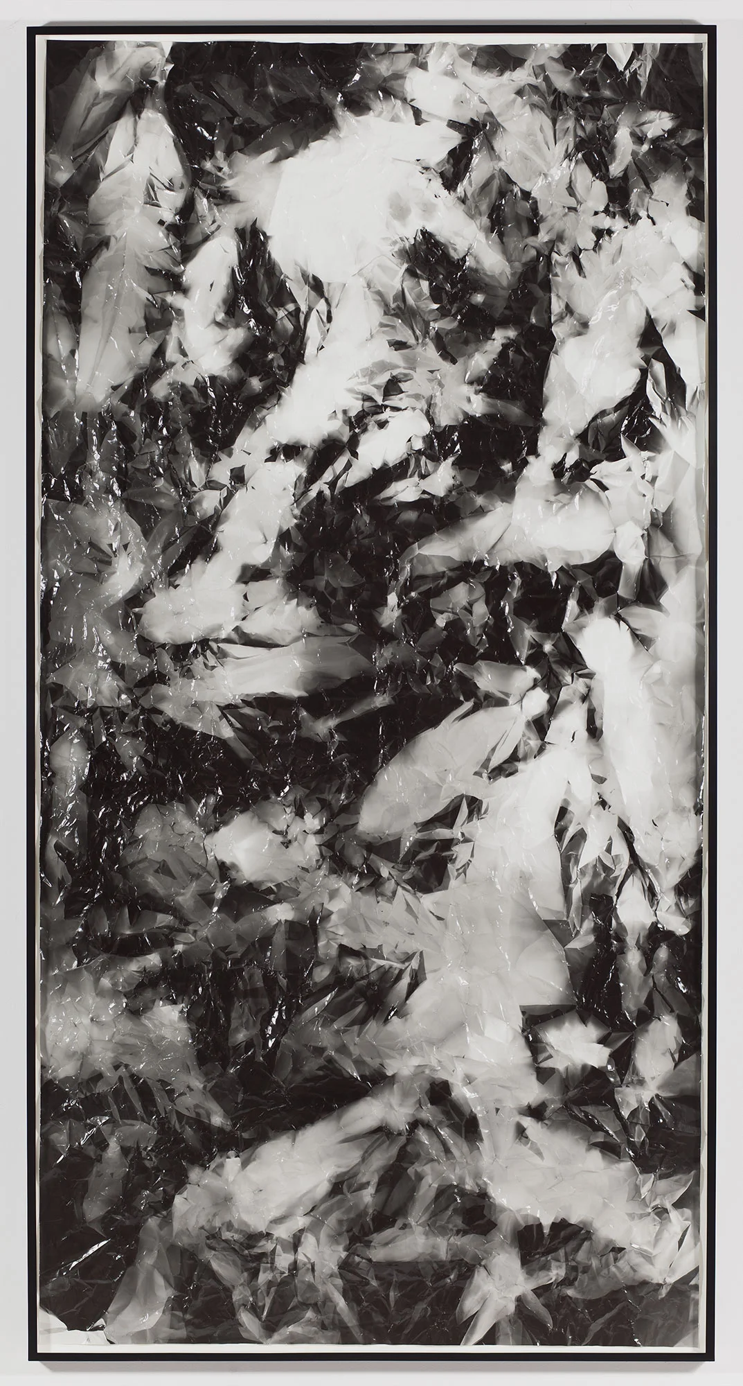 Picture Made by My Hand with the Assistance of Light 2011 Black and white fiber based photographic paper 111 x 55 inches