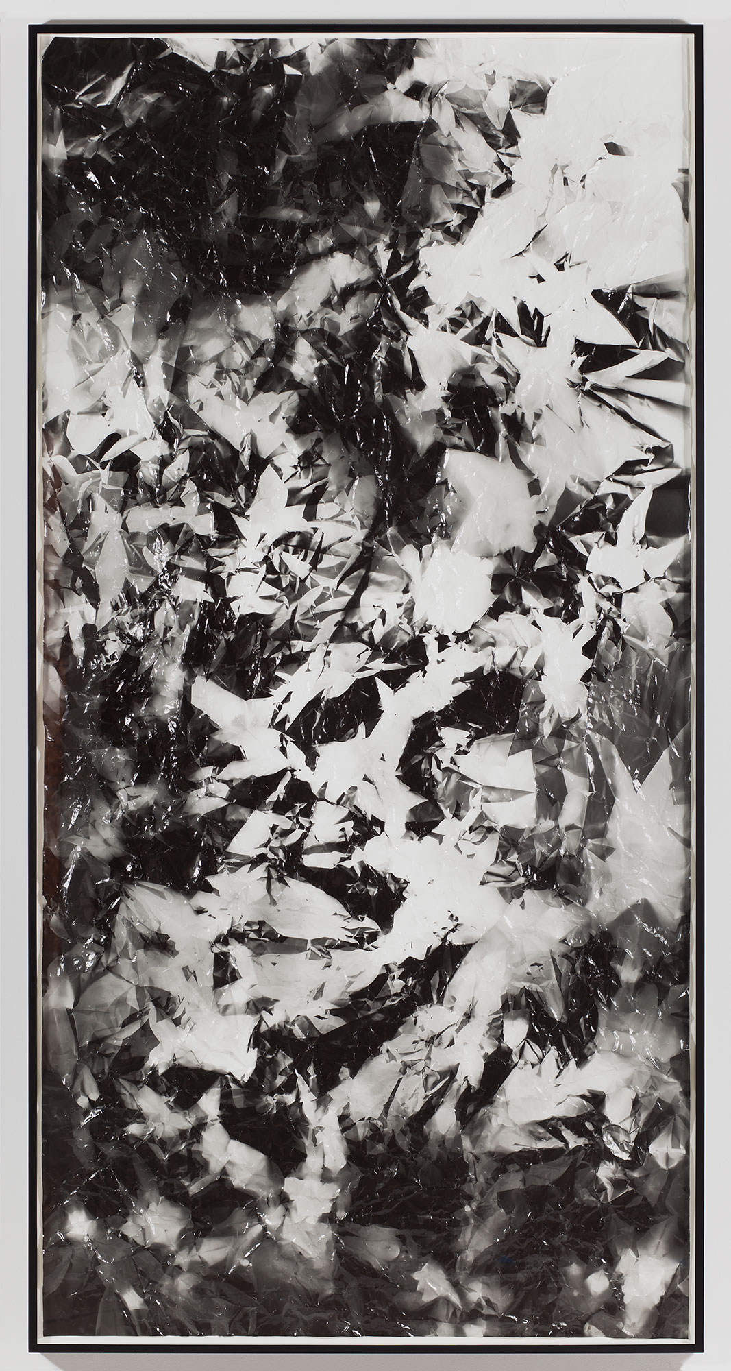   Picture Made by My Hand with the Assistance of Light    2011   Black and white fiber based photographic paper  113 x 55 inches    