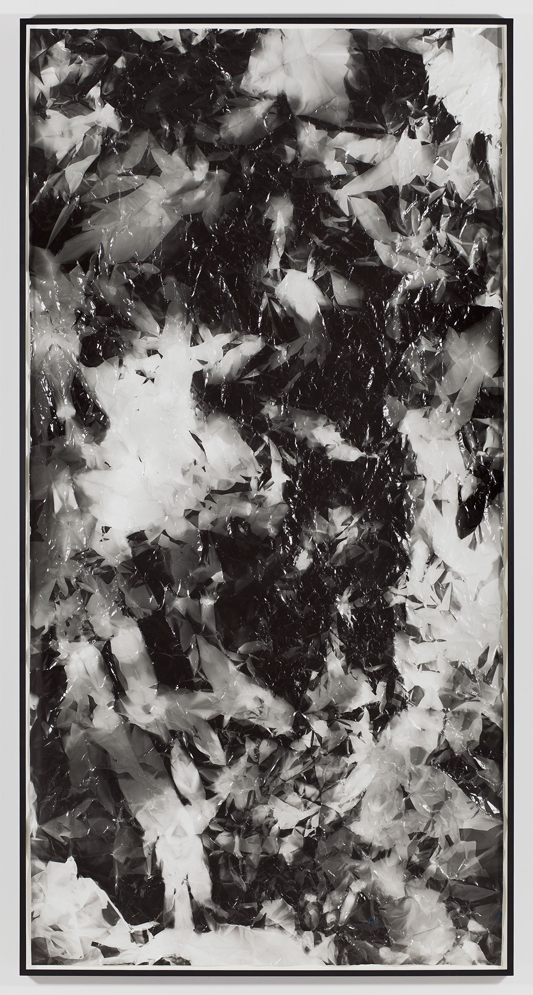   Picture Made by My Hand with the Assistance of Light    2011   Black and white fiber based photographic paper  55 inches    