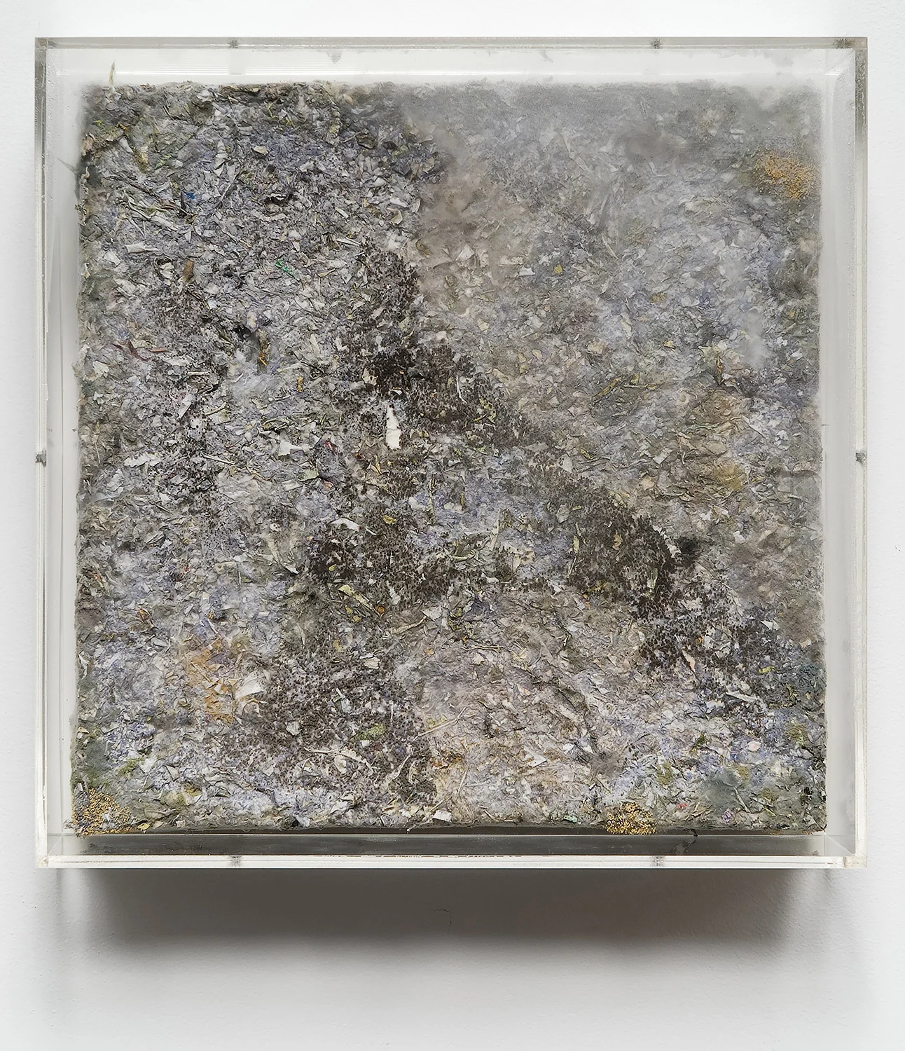 Selected Works (1998–2007), 2008 2008 Color photographic paper, digital chromogenic print, black and white fiber based paper, inkjet print, binding agent, and plywood 12 x 12 inches Selected Works, 2008– Science Concrète, 2008