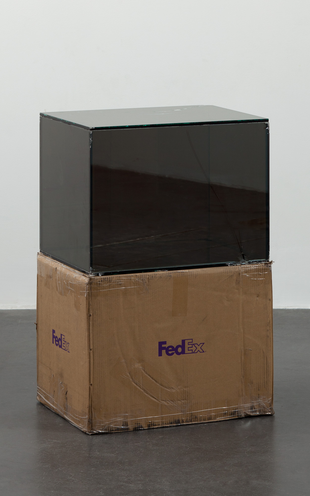   FedEx® Large Kraft Box  © 2004 FEDEX 155143 REV 10/04 SSCC, International Priority, Los Angeles–Beijing trk#875468976030, September 9–14, 2011, International Priority, Bejing–Paris trk#874594463967, March 13–15, 2012    2011–   Laminated Mirropane,