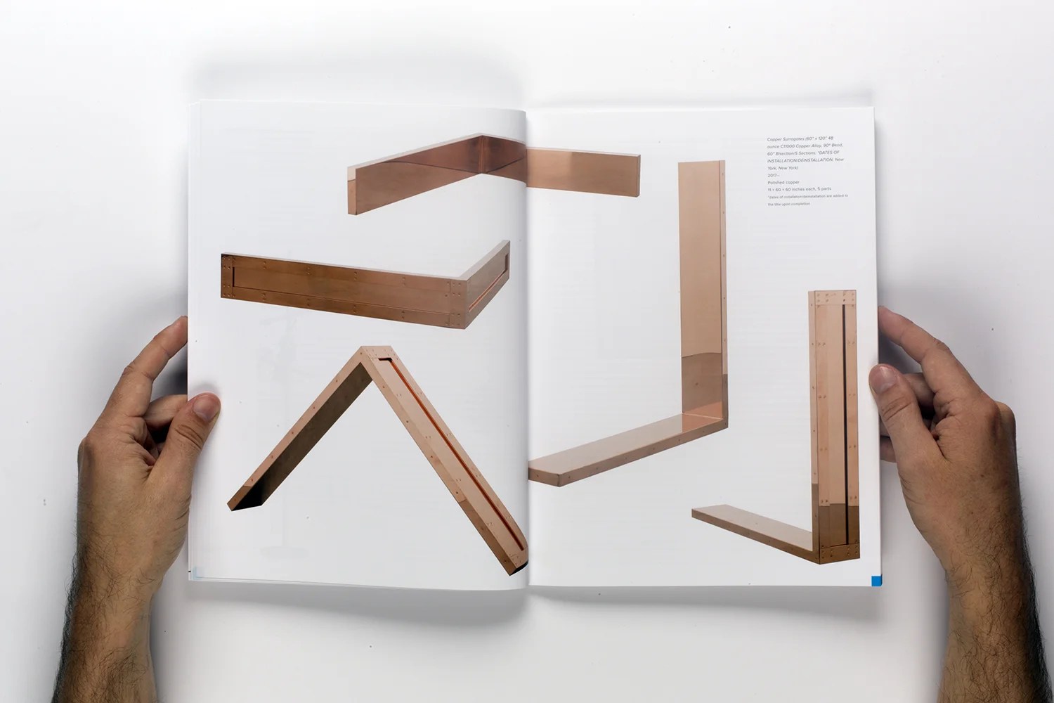 Walead Beshty: Procedurals, Petzel 2014–2017 , Monograph, (Berlin: DISTANZ, 2017).