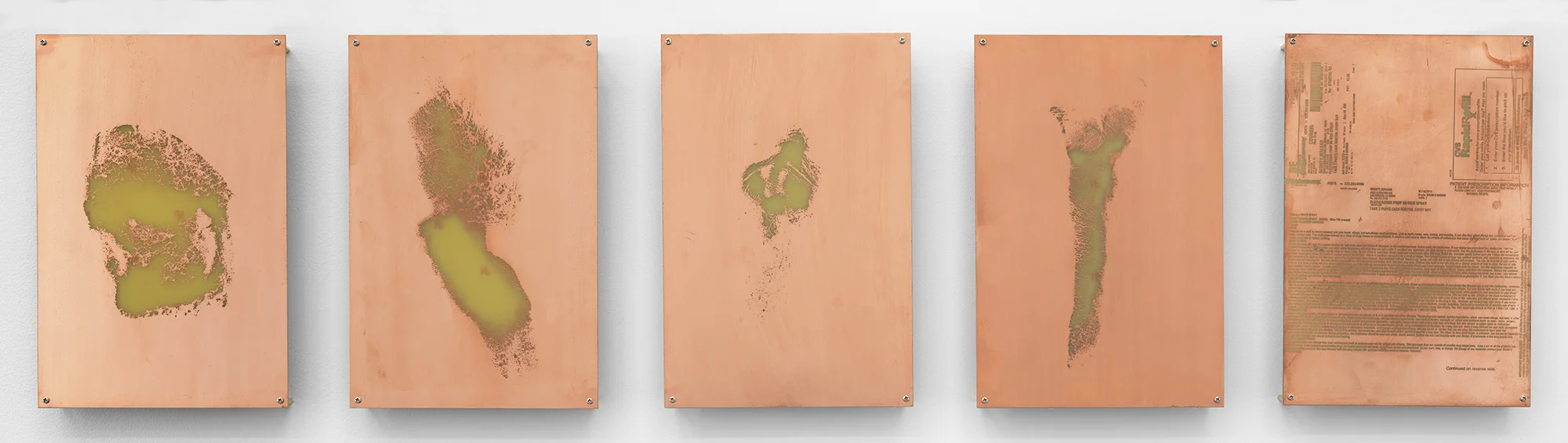 Body Print (Popliteal Fossa, Left Antebrachium, Right Antebrachium, Right Carpal and Attending Soft Tissues, Fluticasone Prop 50 mcg Spray) 2017 Etched copper-clad FR-4 glass-reinforced epoxy laminate board 12 x 8 inches each, 5 parts Body Prints, 2017–