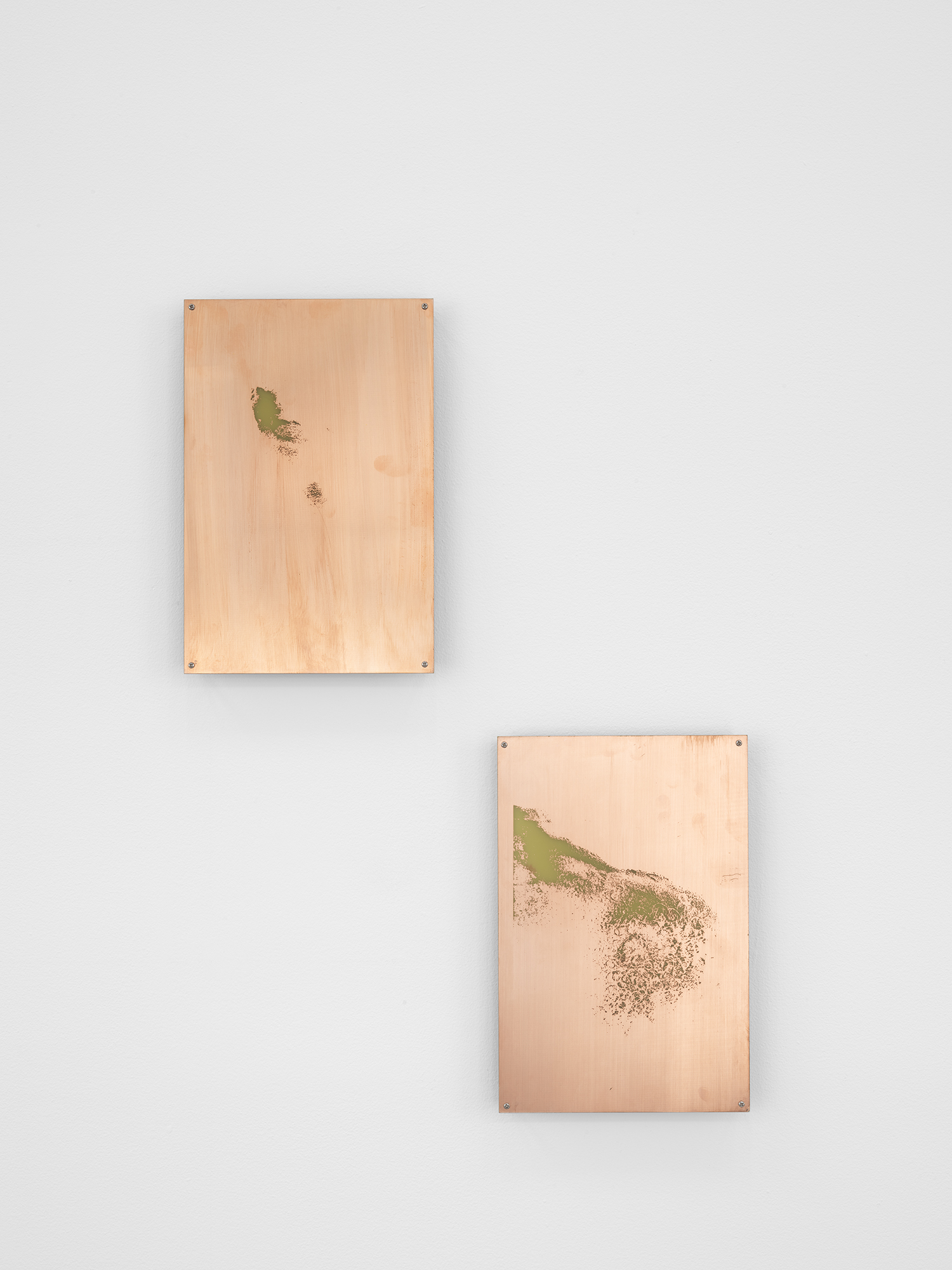   Body Print (Laryngeal Prominence, Sternum and Attending Soft Tissues)   2017  Etched copper-clad FR-4 glass-reinforced epoxy laminate board  12 x 8 inches each, 2 parts   Body Prints, 2017–   Exhibition:  Open Source, 2017   &nbsp; 