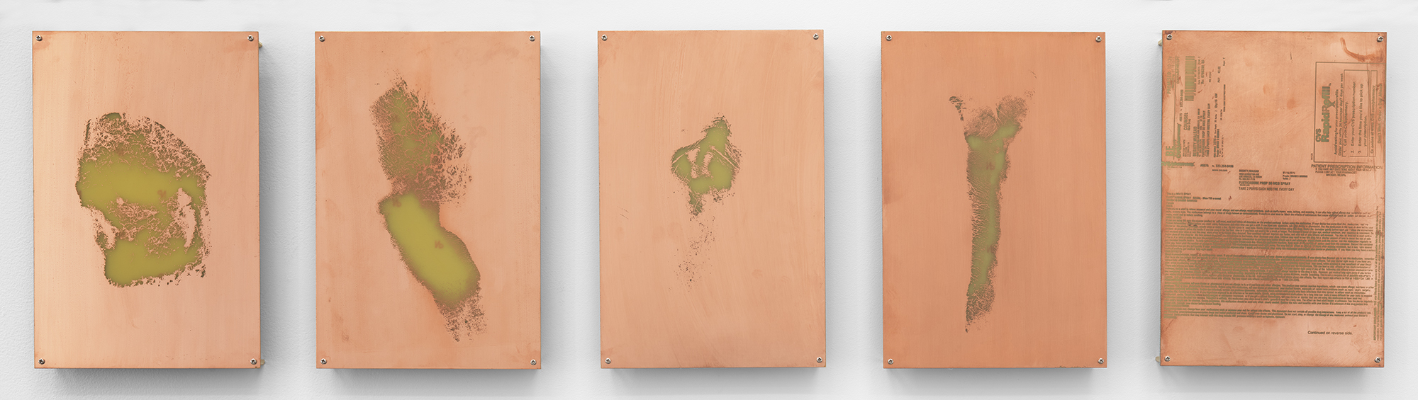   Body Print (Popliteal Fossa, Left Antebrachium, Right Antebrachium, Right Carpal and Attending Soft Tissues, Fluticasone Prop 50 mcg Spray)    2017   Etched copper-clad FR-4 glass-reinforced epoxy laminate board  12 x 8 inches each, 5 parts   Open 