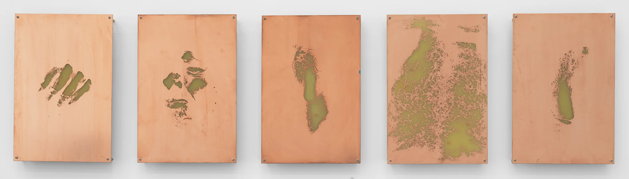 Body Print (Right Metacarpophalangeal Joint and Attending Soft Tissues, Right Zygomatic Bone and Attending Soft Tissues, Left Lateral Epicondyle, Abdomen, Right Lateral Epicondyle) 2017 Etched copper-clad FR-4 glass-reinforced epoxy laminate board 12 x 8 inches each, 5 parts Open Source, 2017