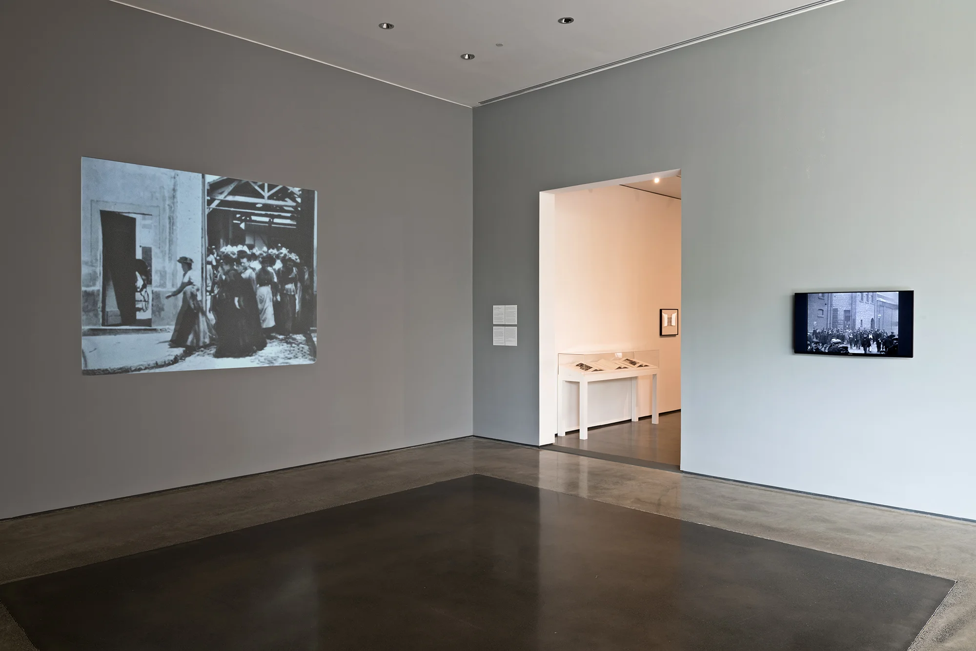 Picture Industry , Hessel Museum, Center for Curatorial Studies, Bard College, Annandale-on-Hudson, NY, 2017. Louis and Auguste Lumière and Mitchell & Kenyon