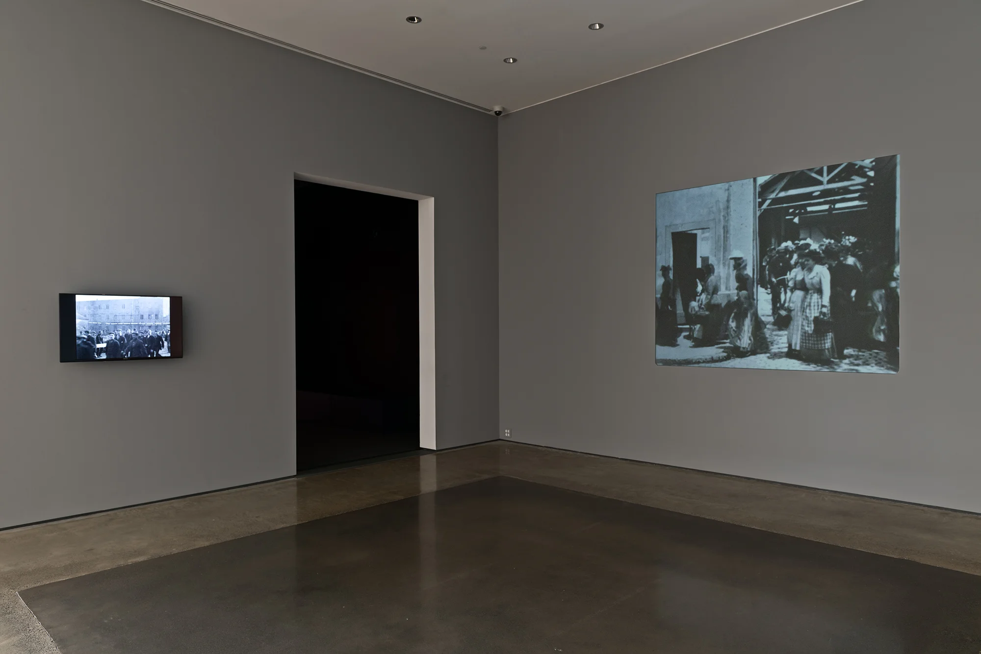 Picture Industry , Hessel Museum, Center for Curatorial Studies, Bard College, Annandale-on-Hudson, NY, 2017. Mitchell & Kenyon and Louis and Auguste Lumière