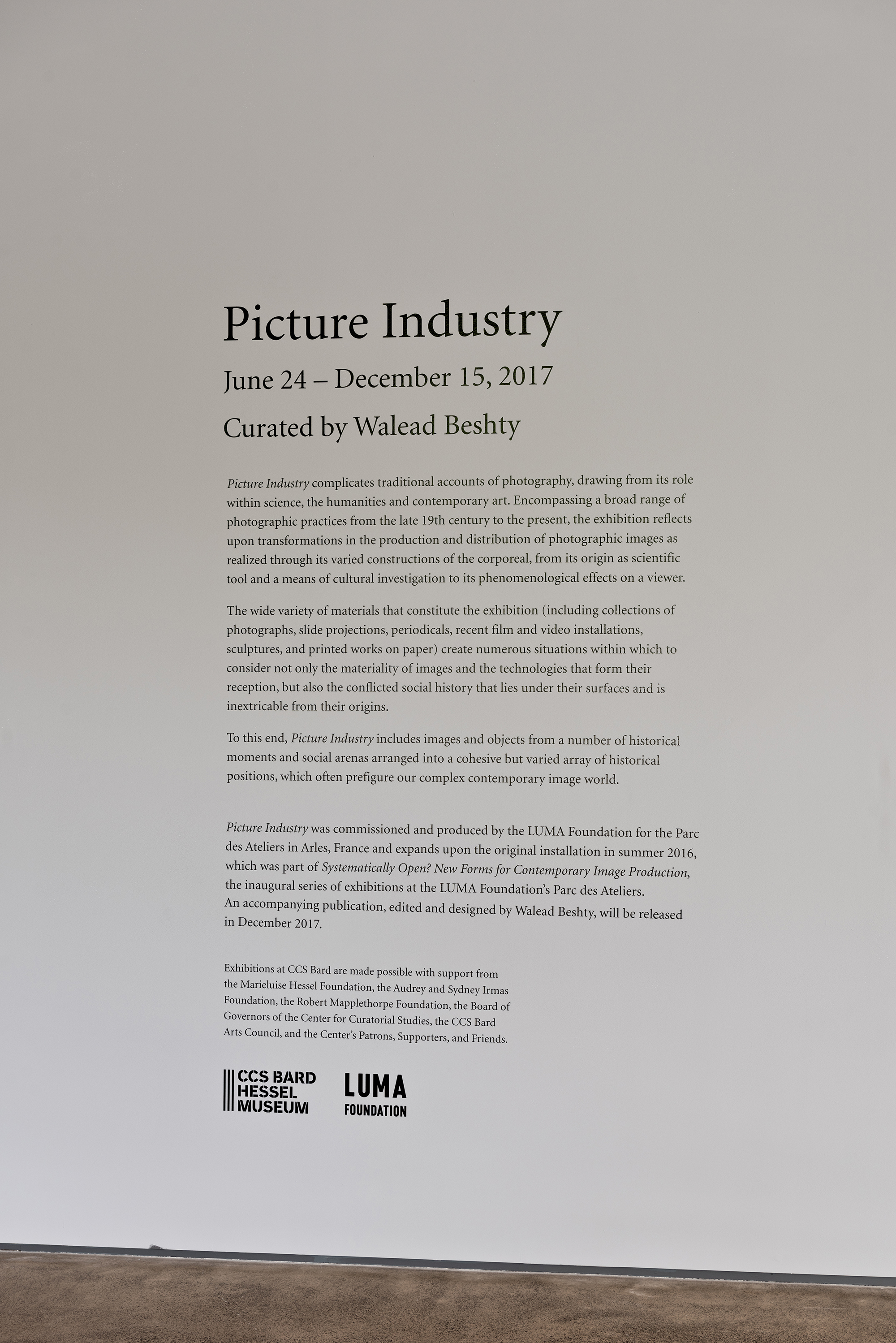   Picture Industry , Hessel Museum, Center for Curatorial Studies, Bard College, Annandale-on-Hudson, NY, 2017.    