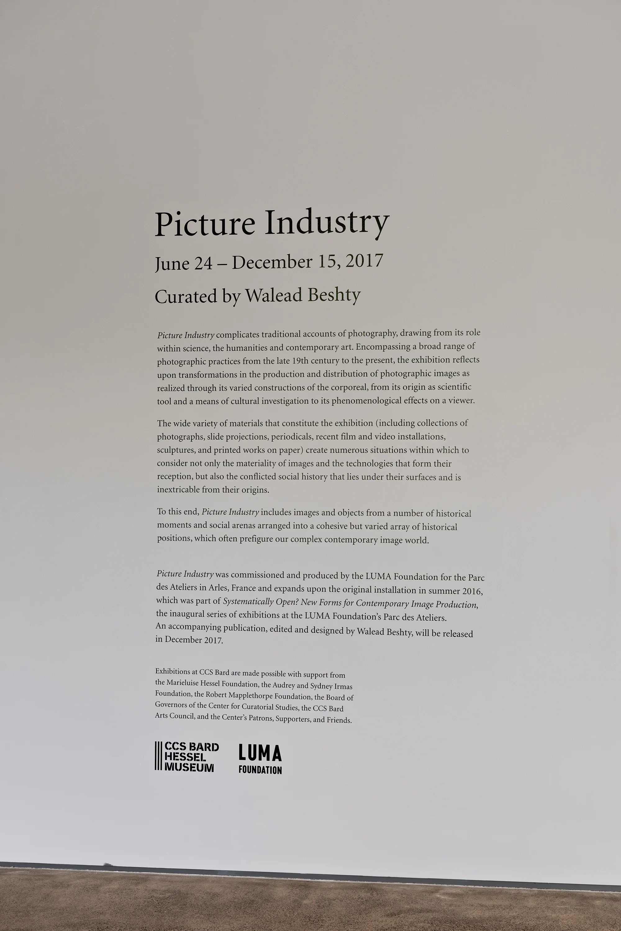 Picture Industry , Hessel Museum, Center for Curatorial Studies, Bard College, Annandale-on-Hudson, NY, 2017.
