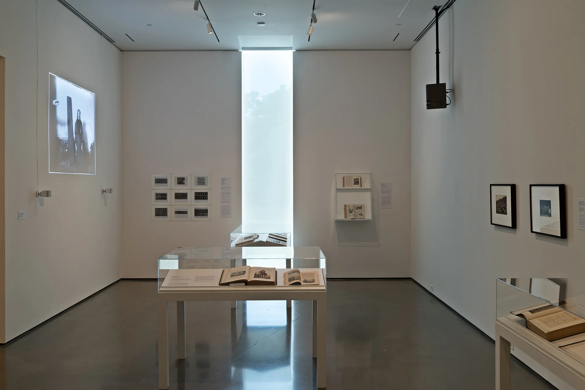 Picture Industry , Hessel Museum, Center for Curatorial Studies, Bard College, Annandale-on-Hudson, NY, 2017. Jacob Riis, Eadweard Muybridge, Étienne-Jules Marey, Georges Gilles de la Tourette, William Emory, William Henry Jackson, and James Hague et al.