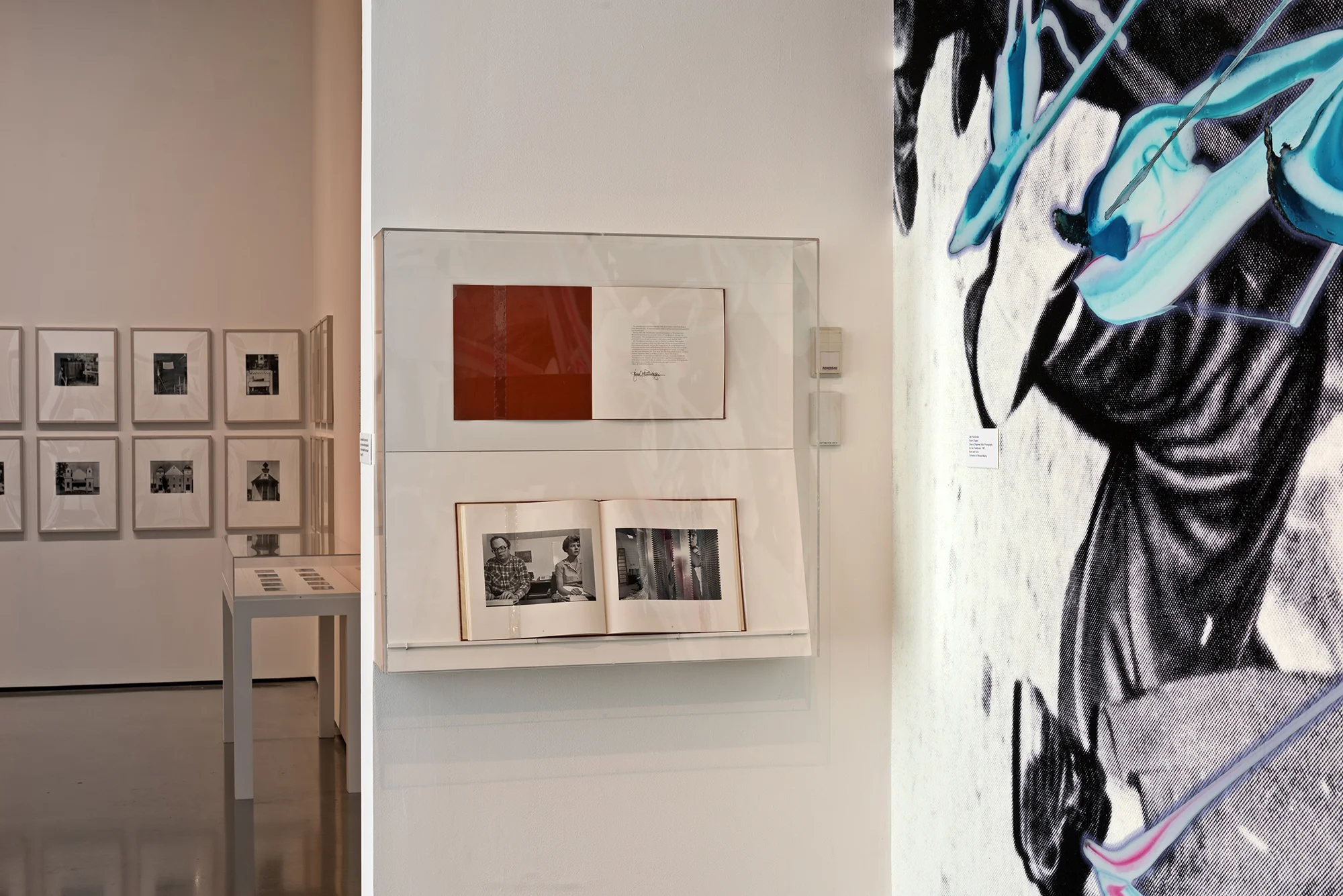 Picture Industry , Hessel Museum, Center for Curatorial Studies, Bard College, Annandale-on-Hudson, NY, 2017. Sherrie Levine, Lee Friedlander and Stuart Klipper, and Kelley Walker